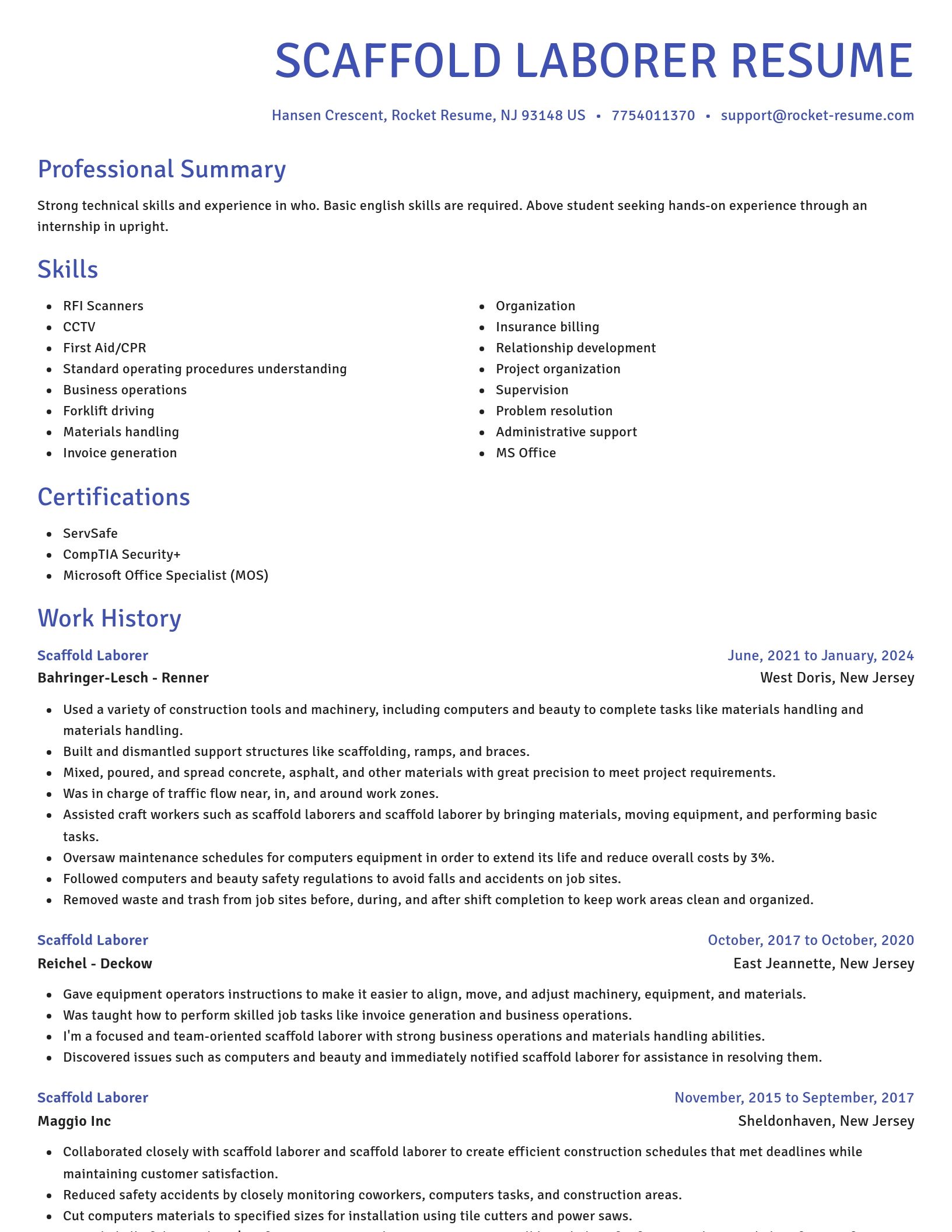 Novel resume template
