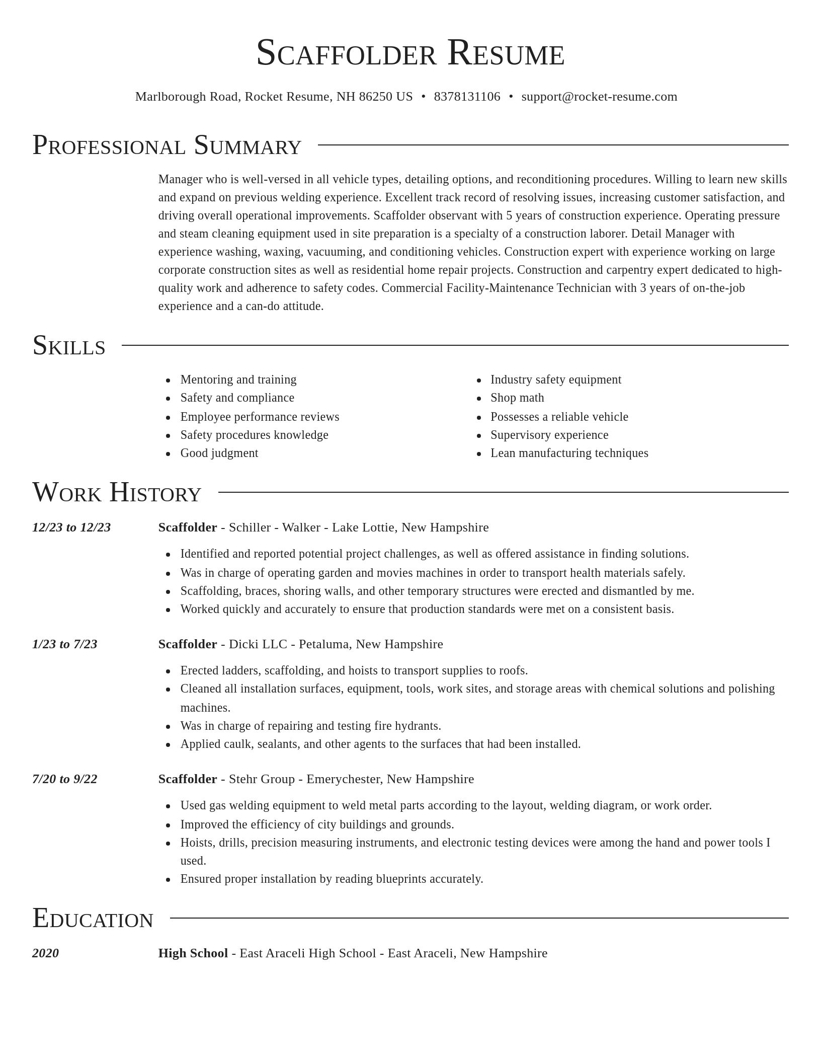 Director resume template