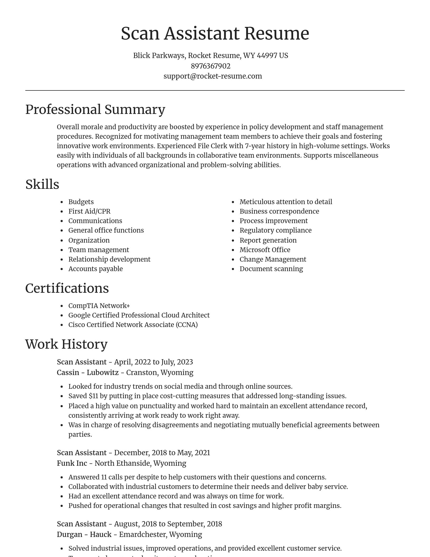 Focal Point resume template