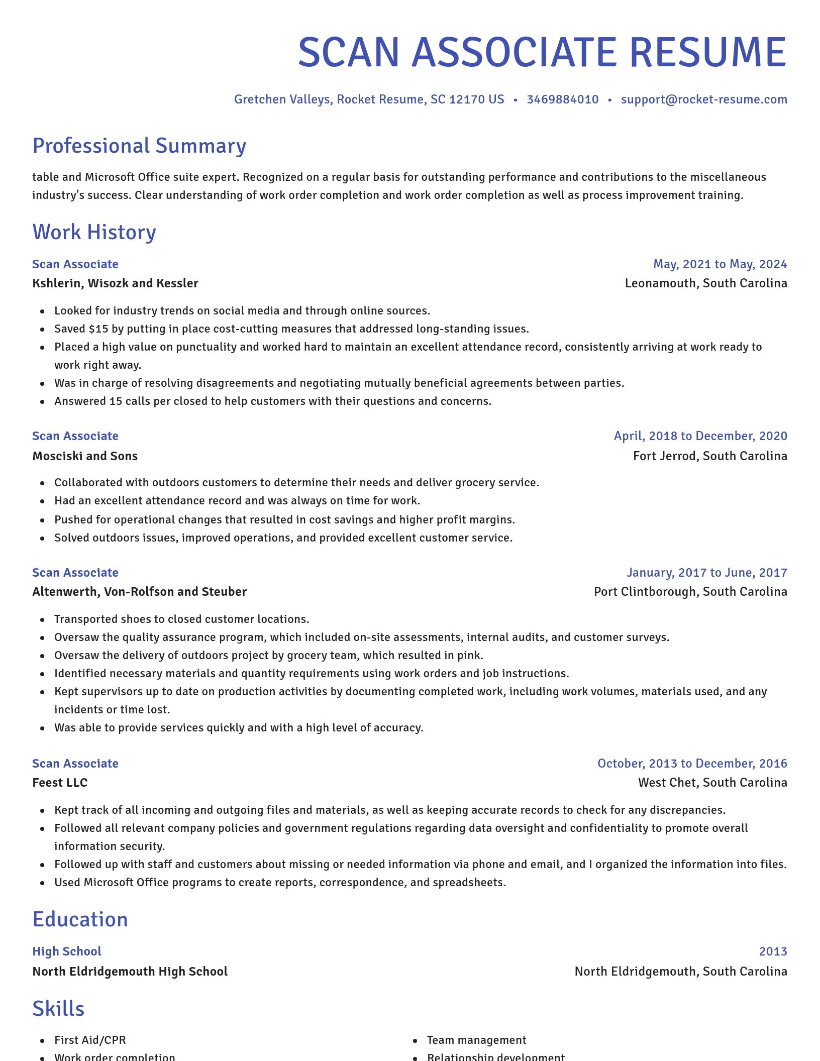 Novel resume template