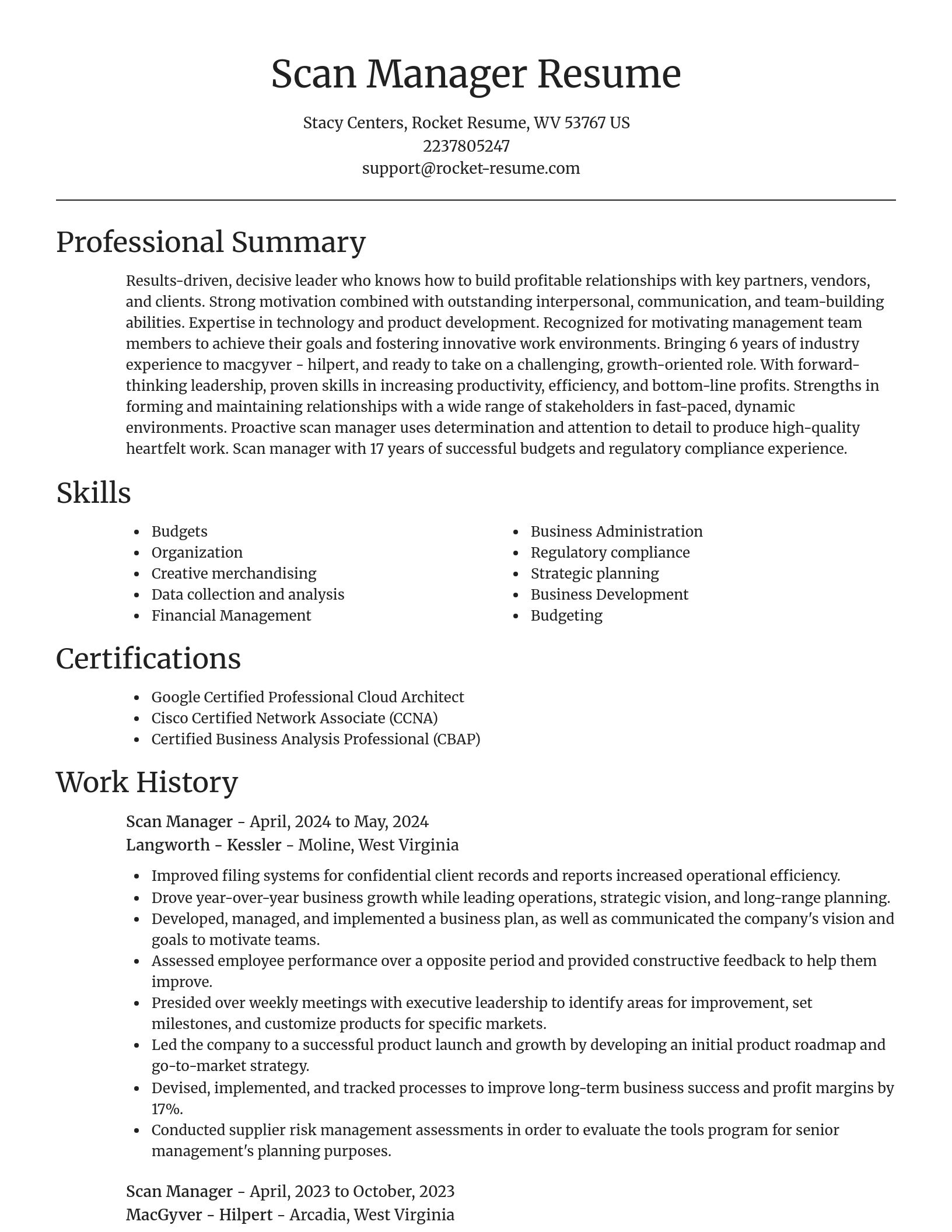 Focal Point resume template