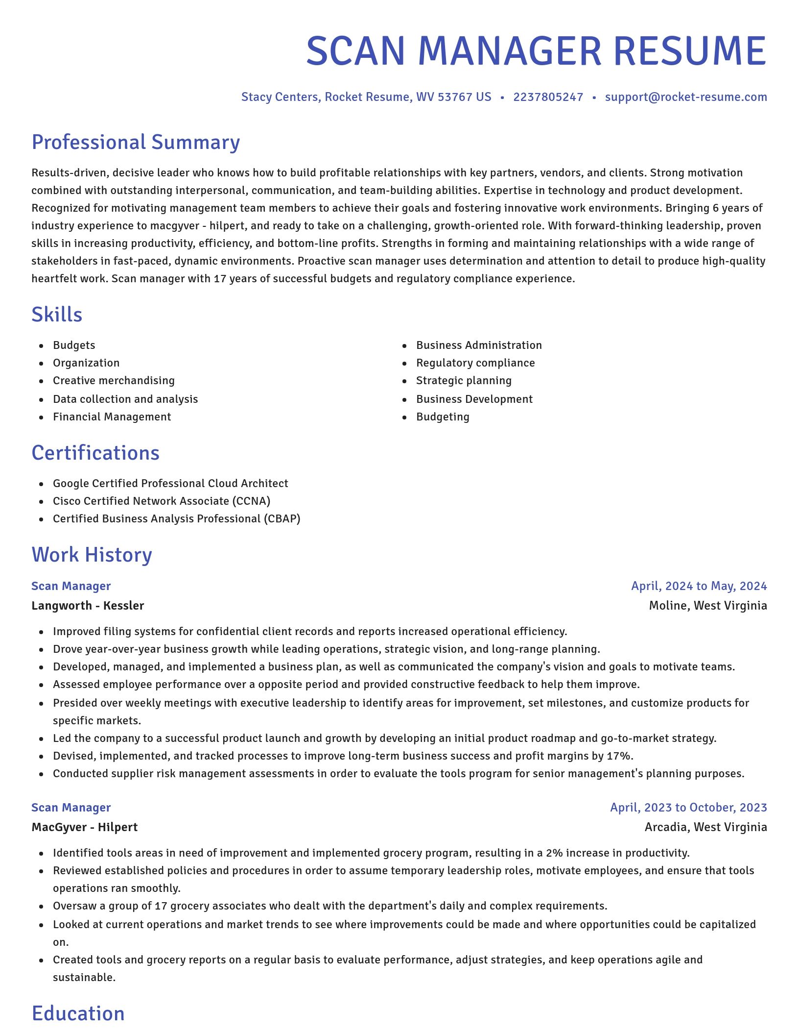 Novel resume template