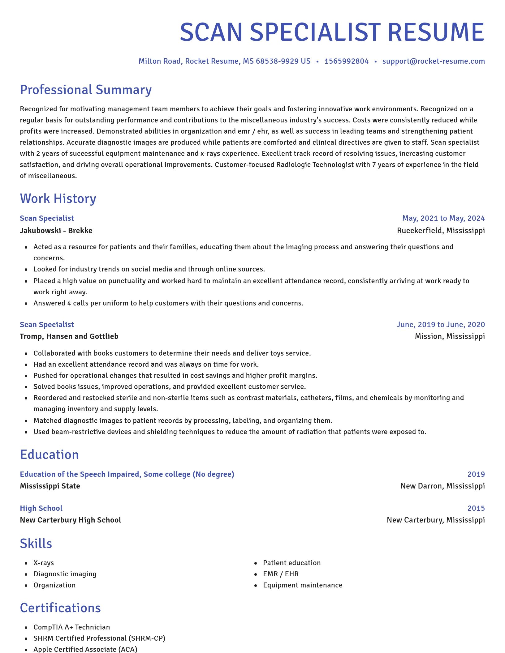 Novel resume template