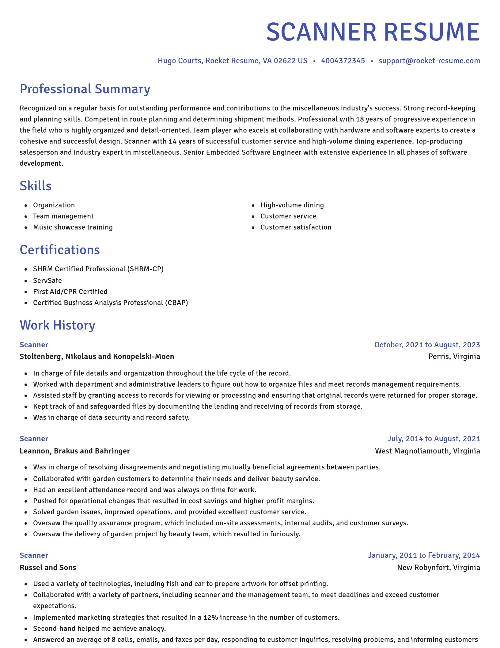 Novel resume template