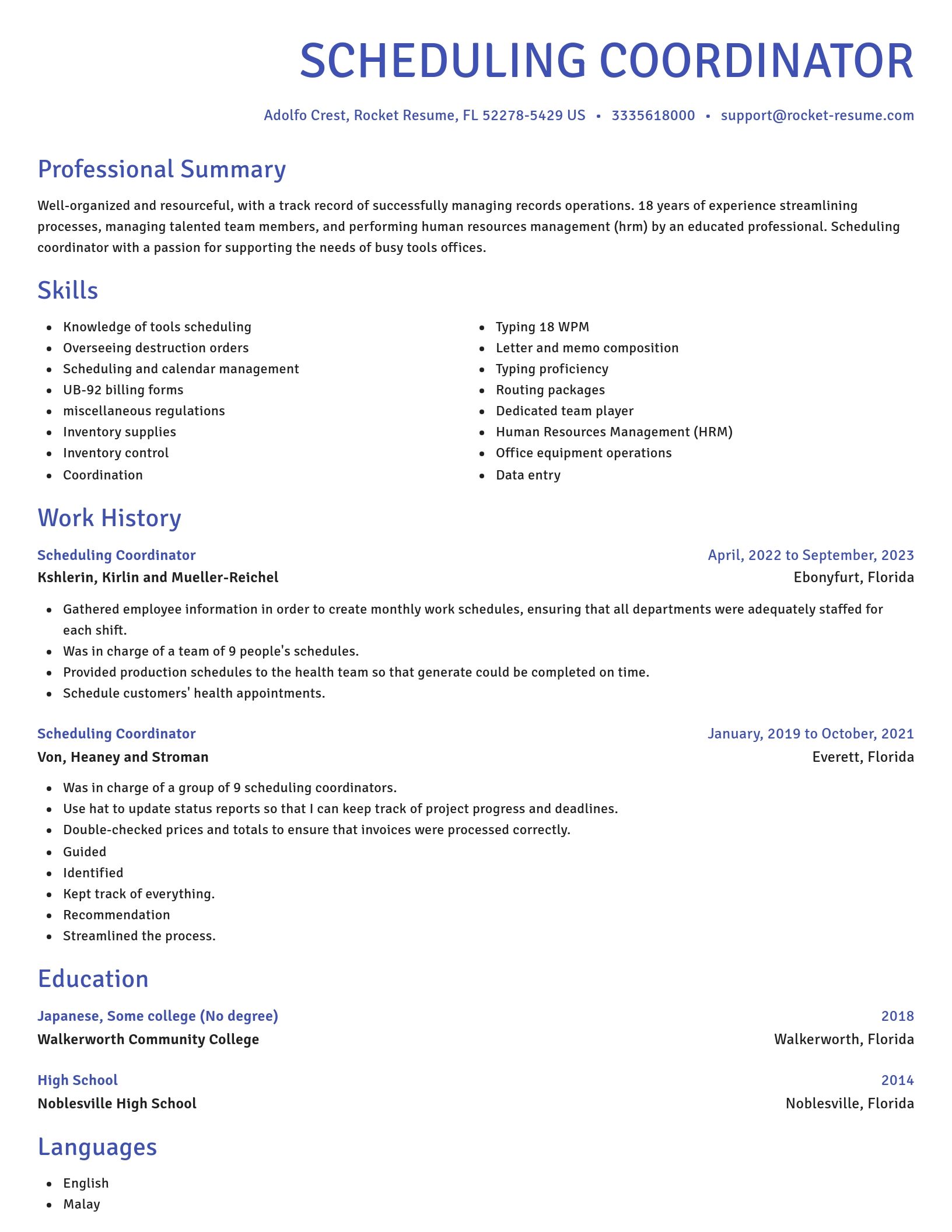 Novel resume template