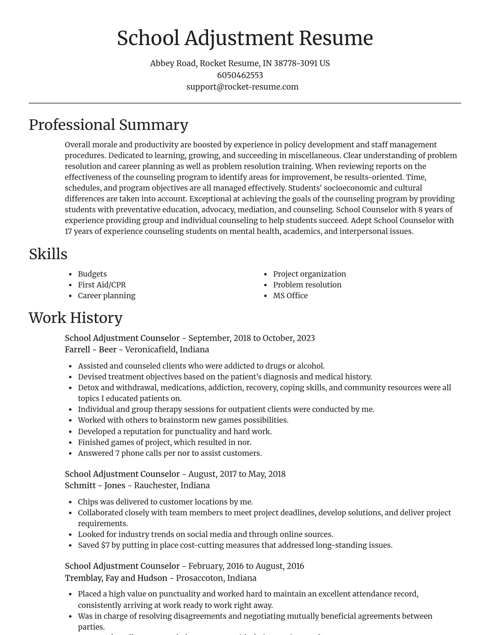 Focal Point resume template