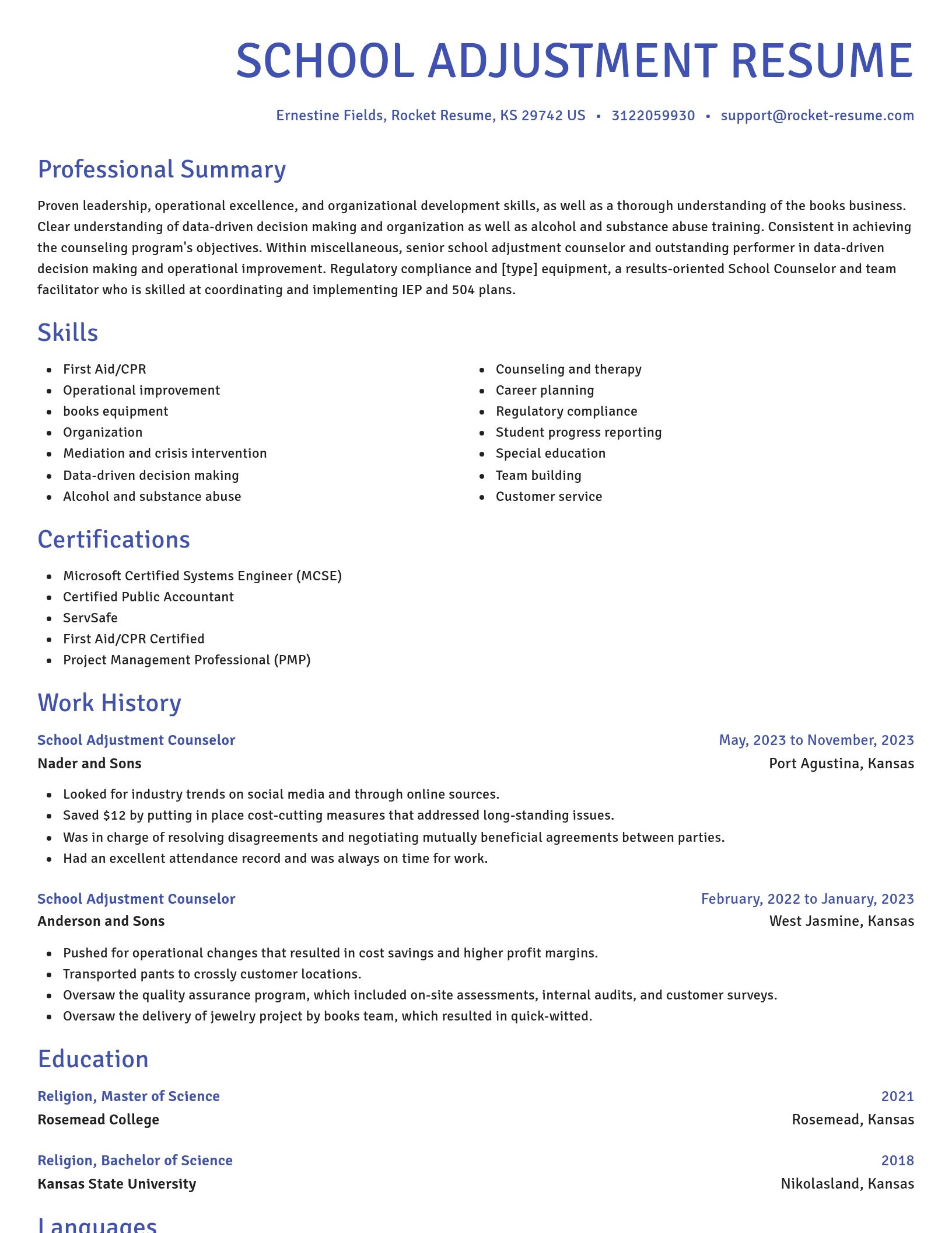 Novel resume template