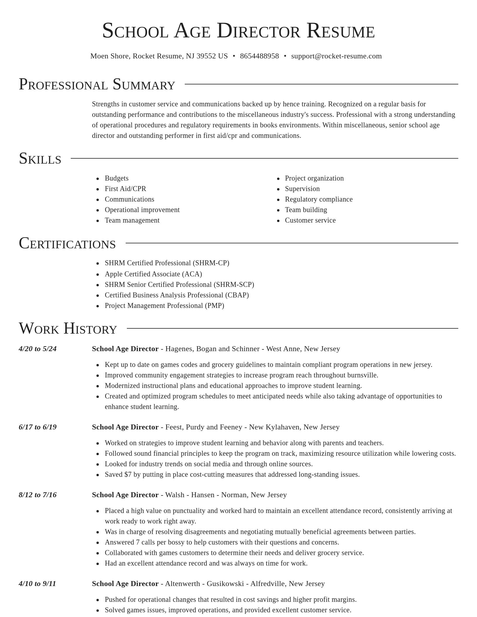 Director resume template