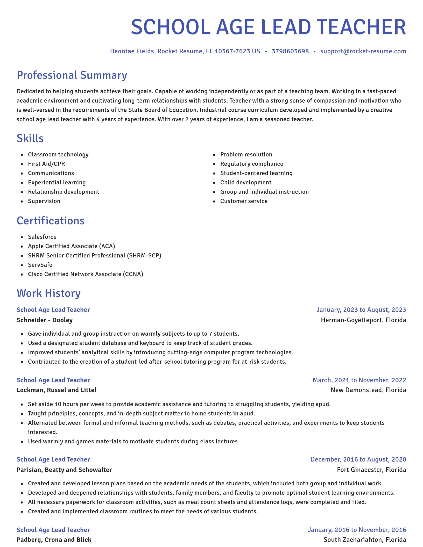 Novel resume template