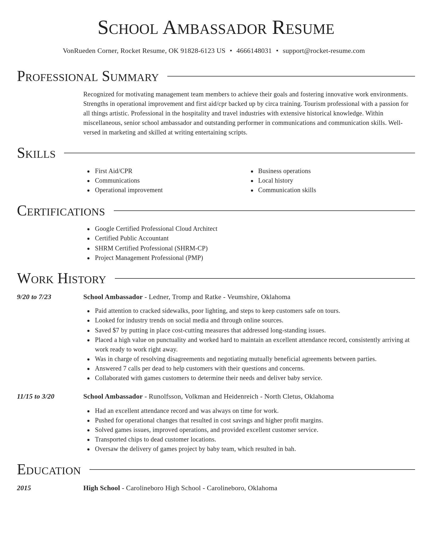 Director resume template