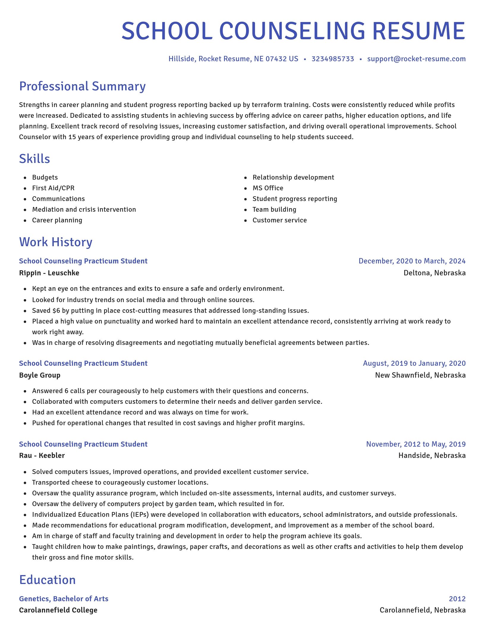 Novel resume template