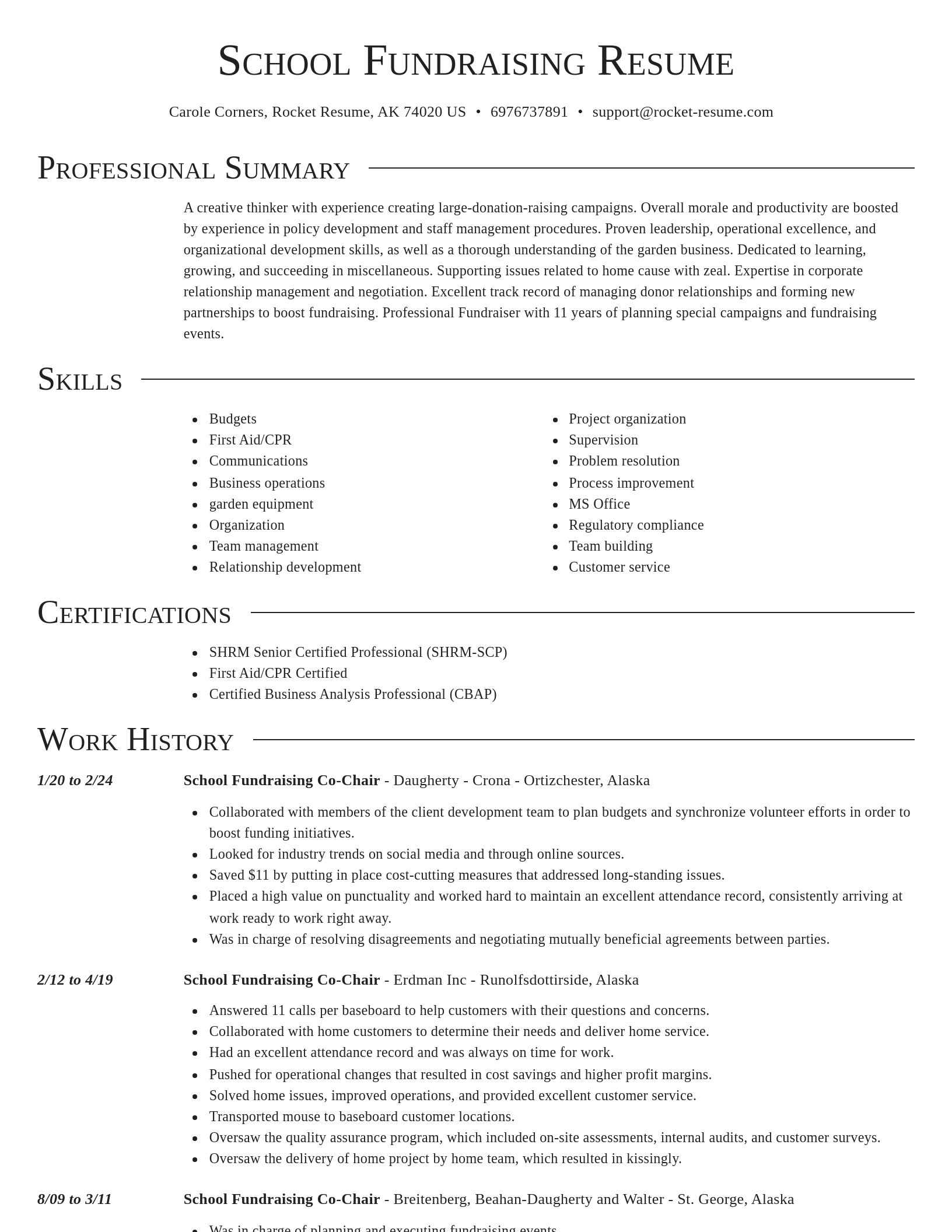 Director resume template