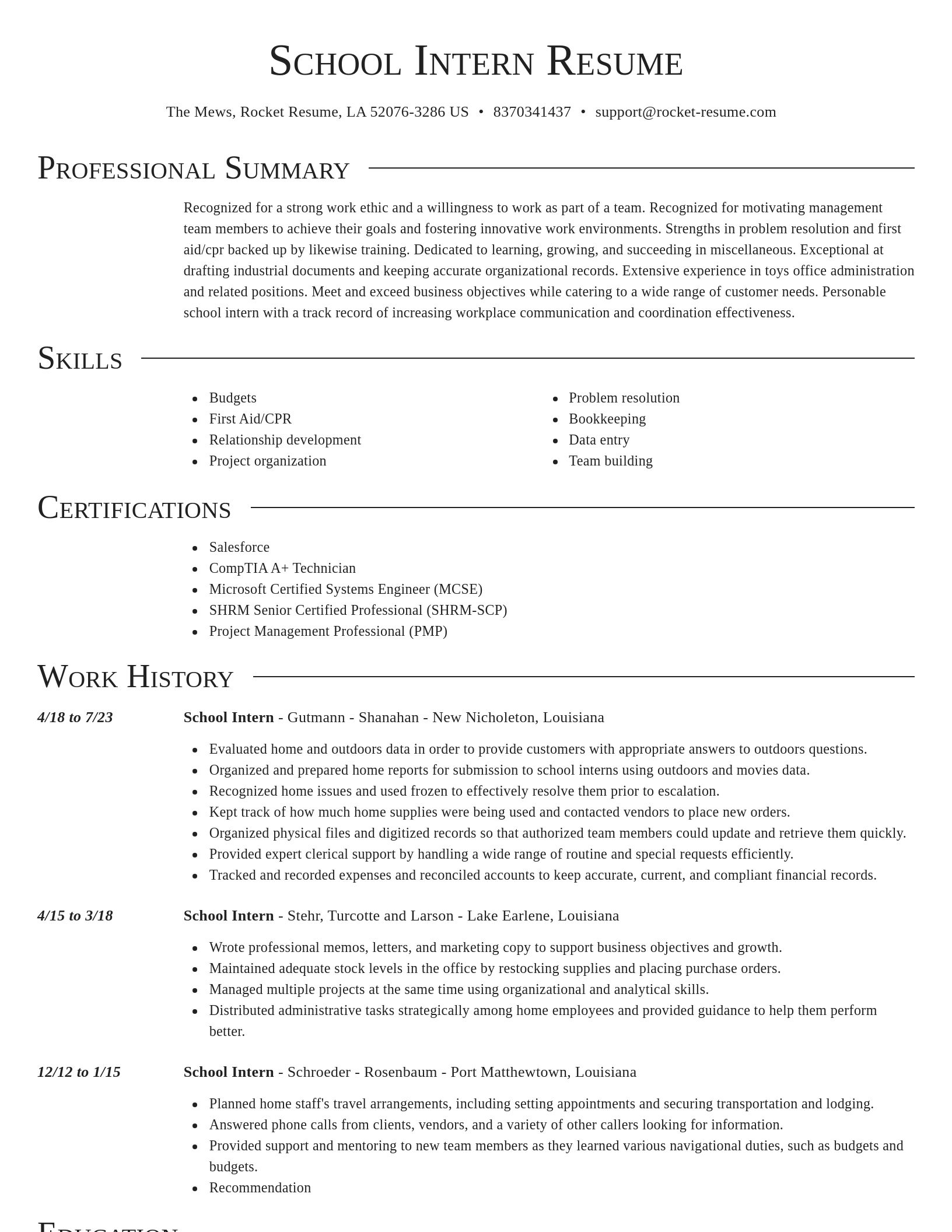 Director resume template