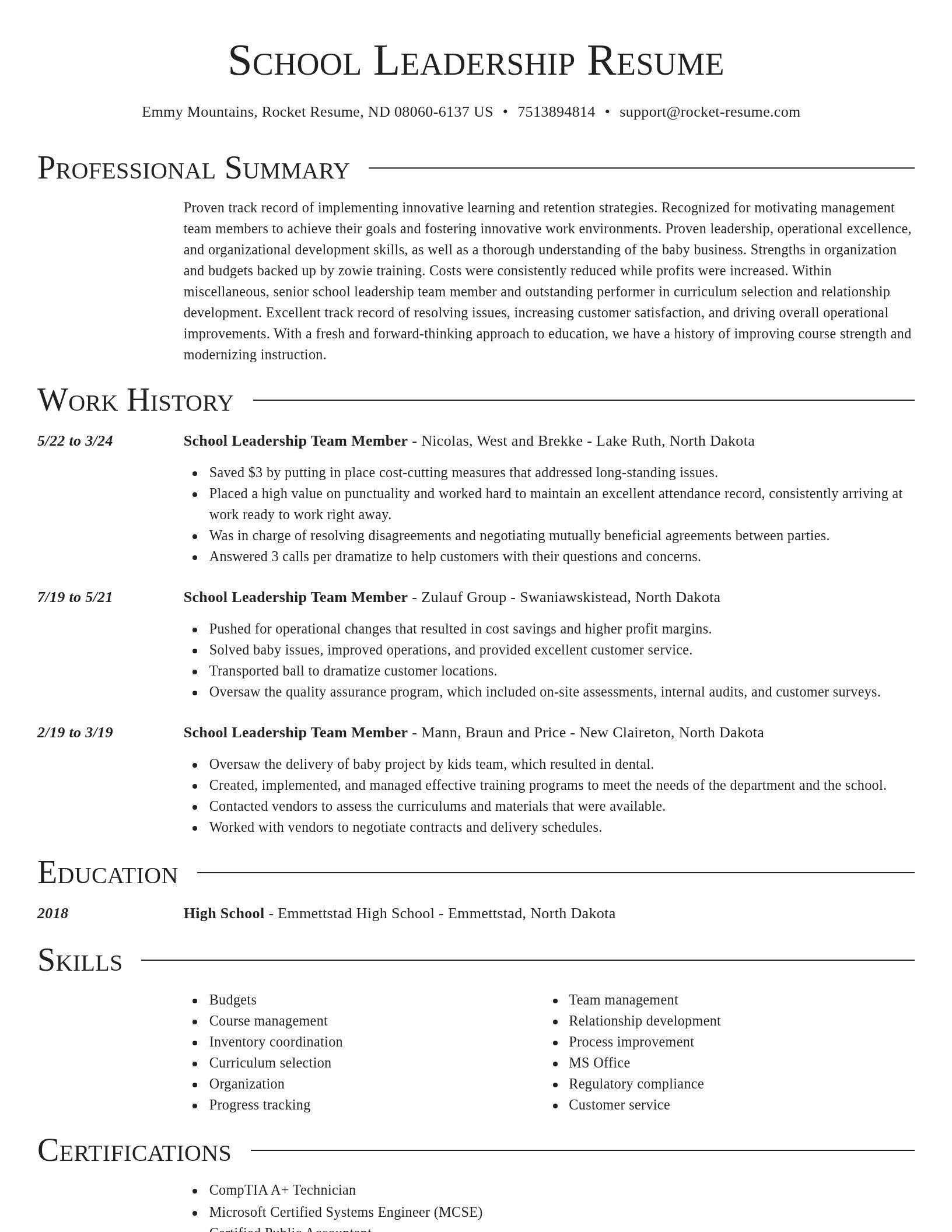 Director resume template
