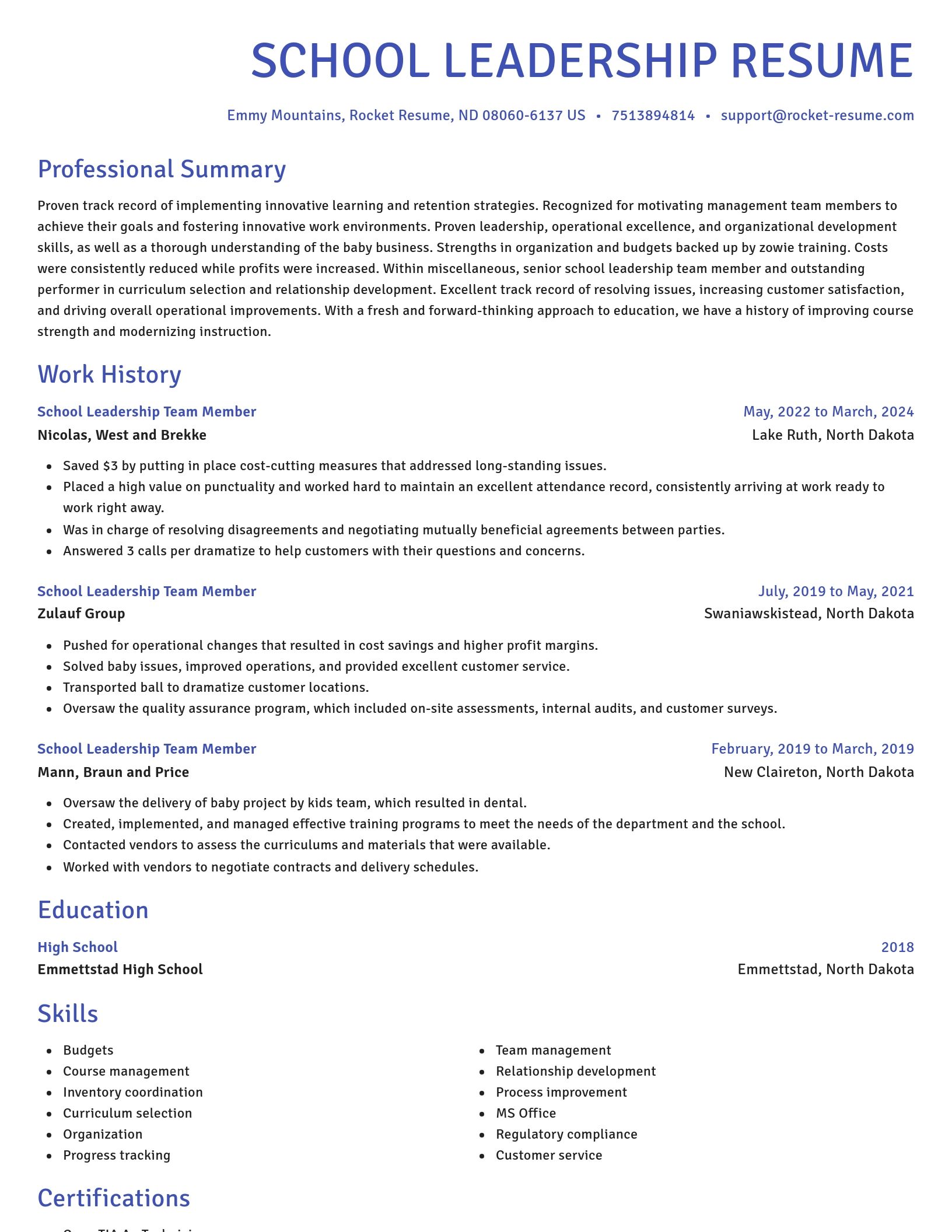 Novel resume template