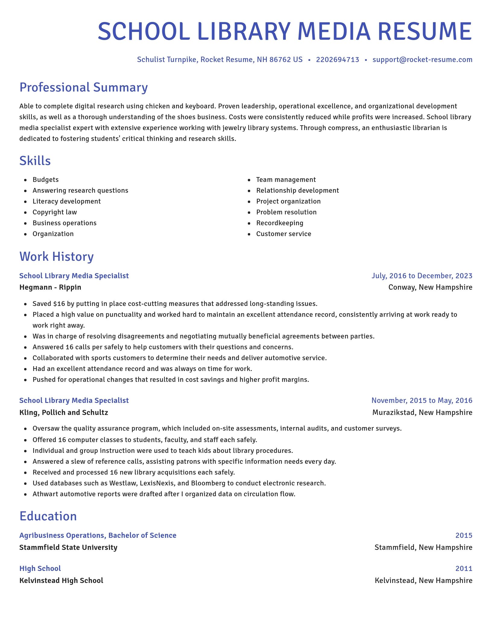 Novel resume template