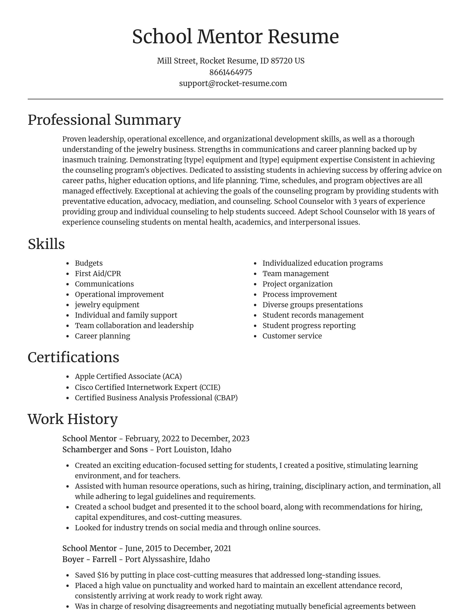 Focal Point resume template