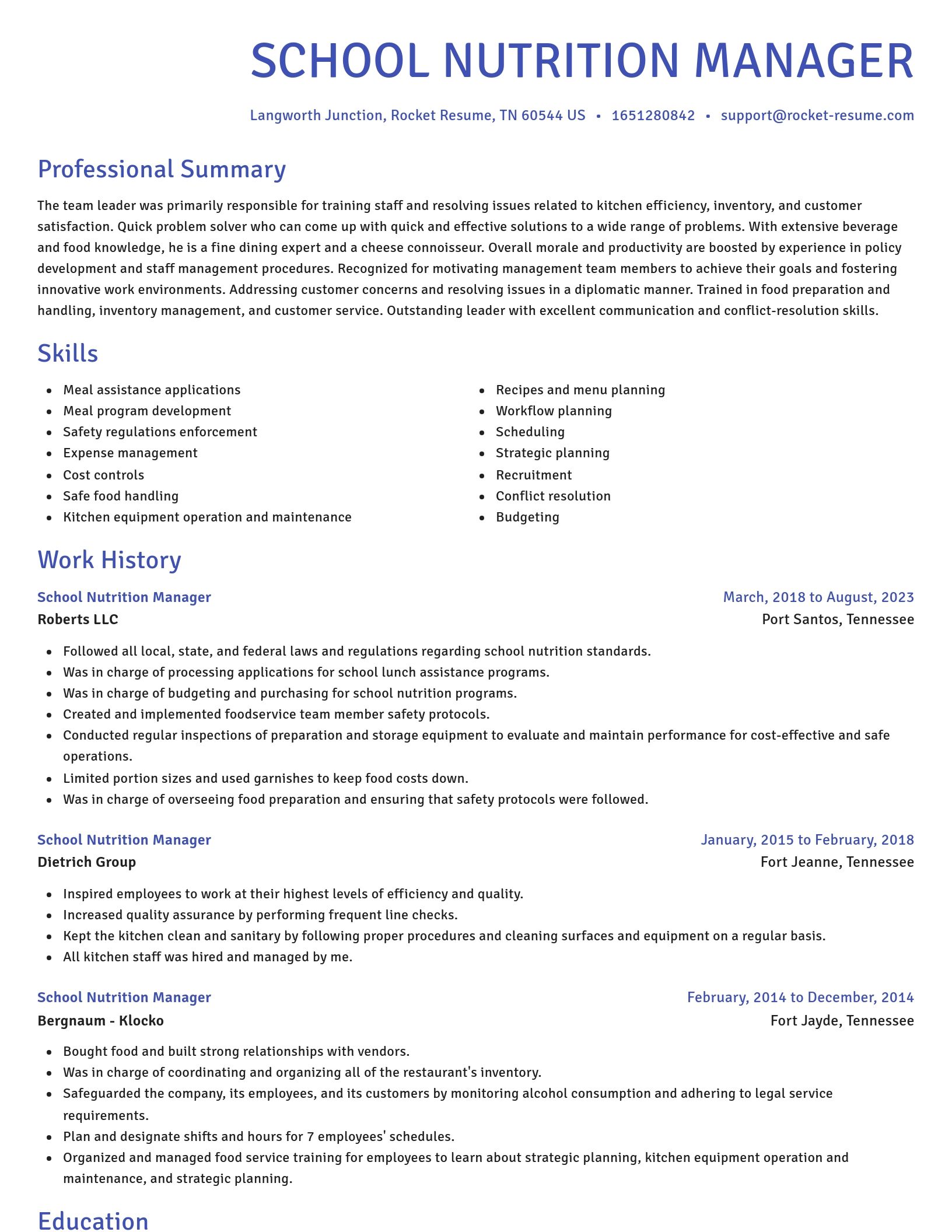 Novel resume template