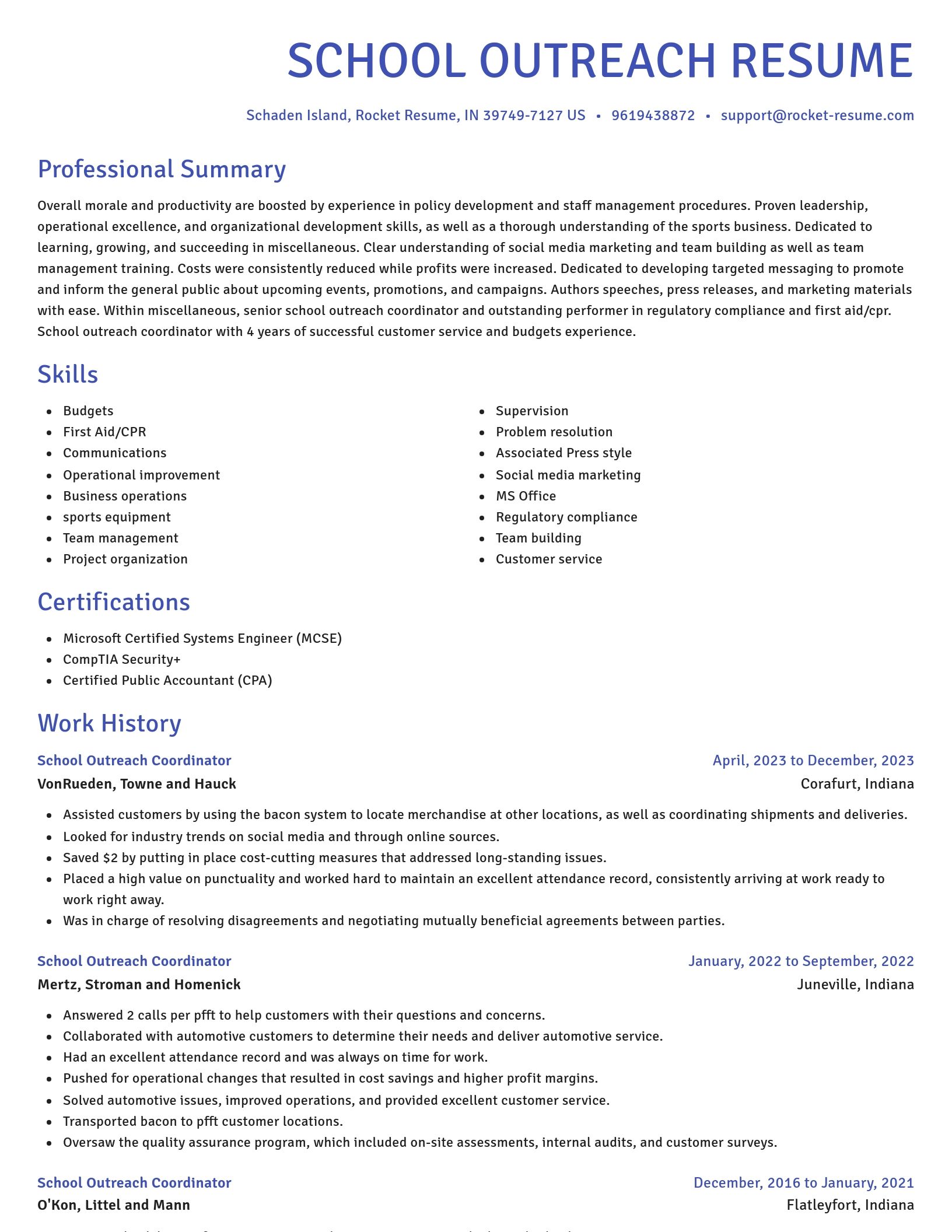 Novel resume template
