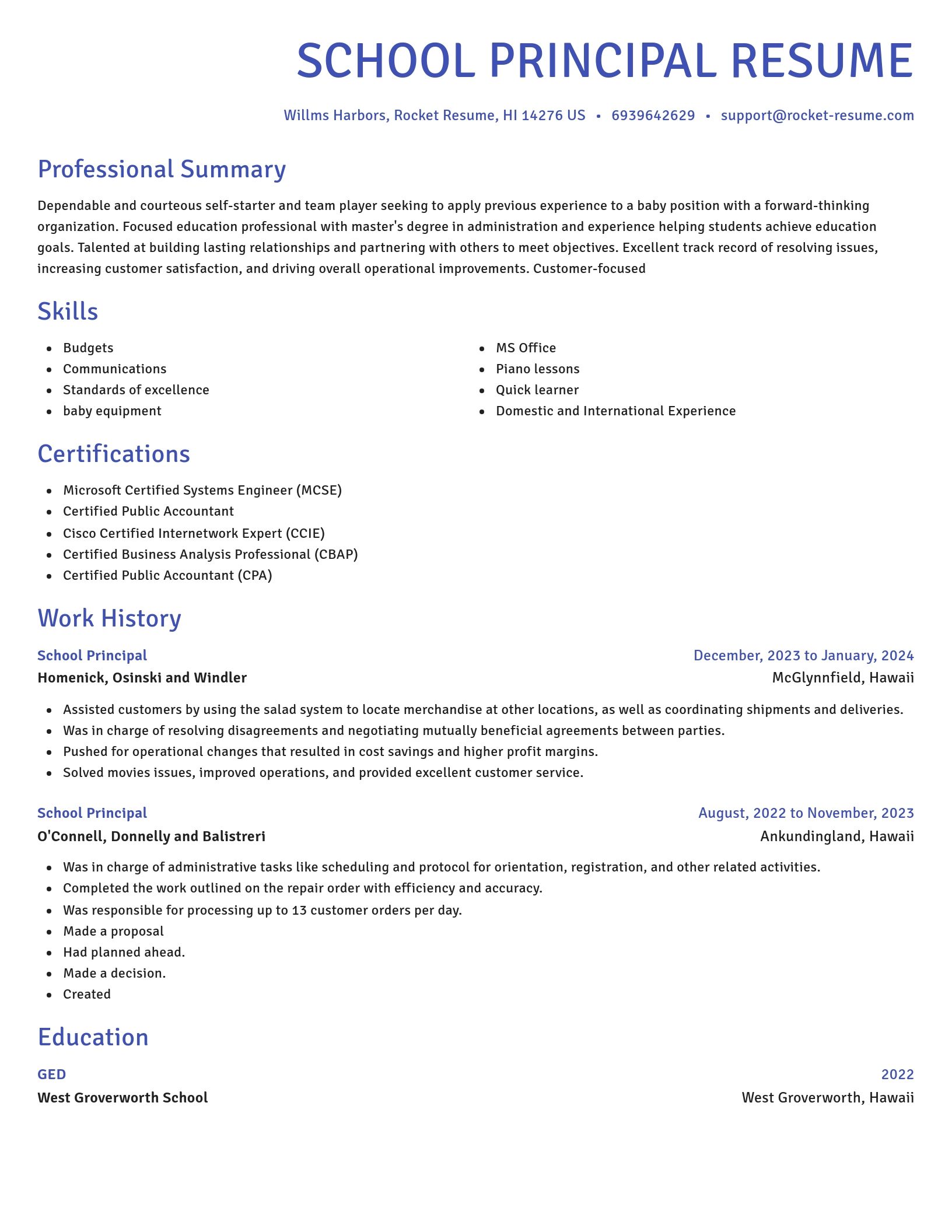 Novel resume template