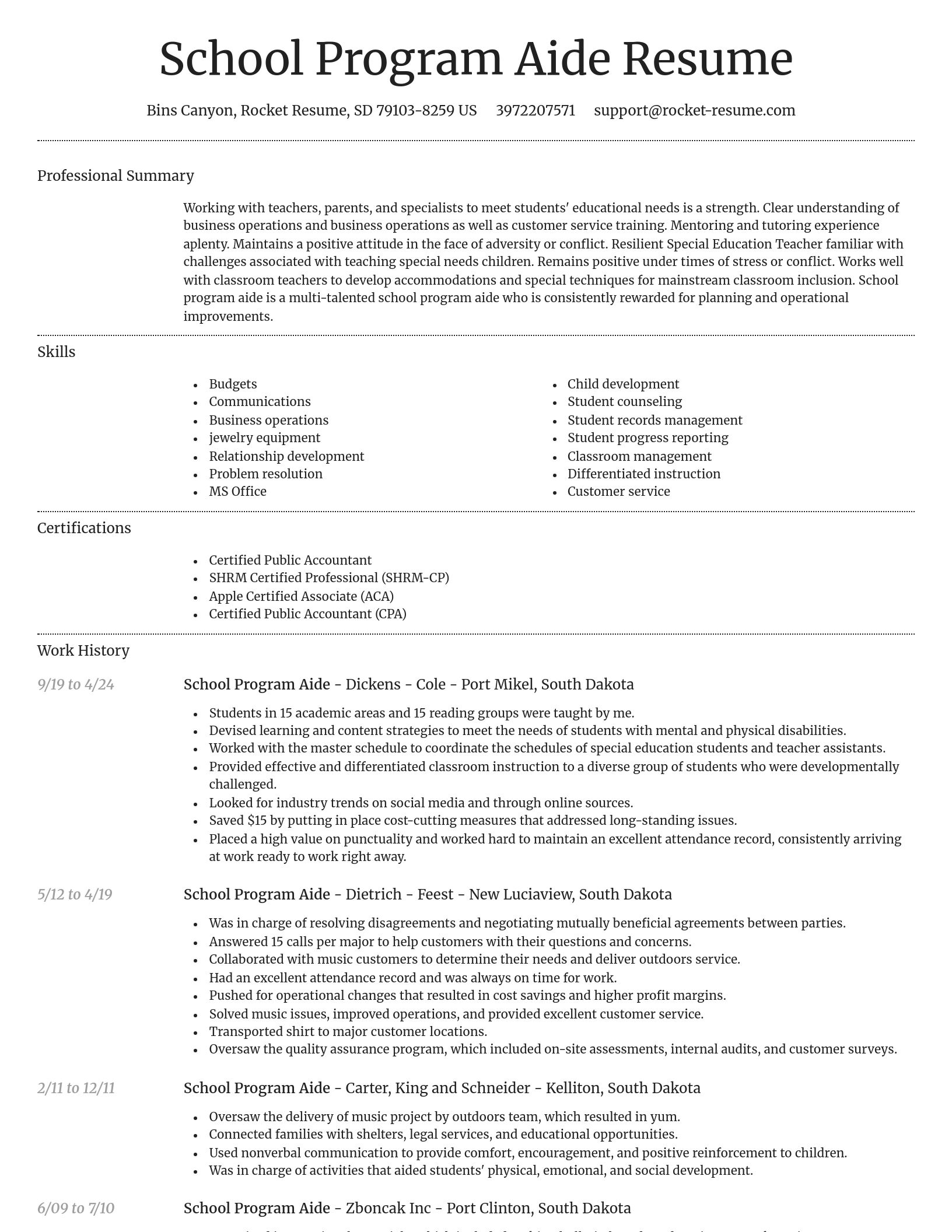 Dignified resume template