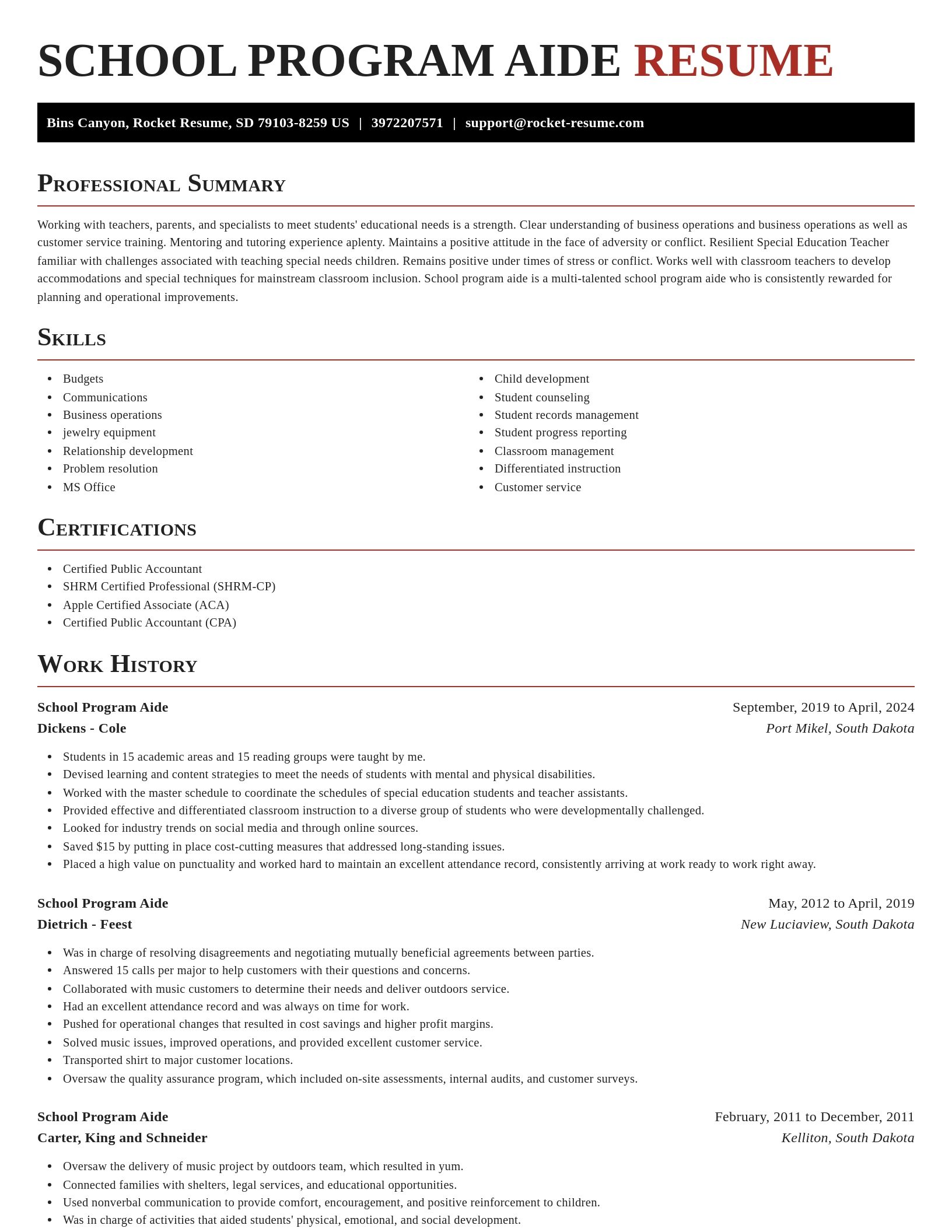 Exquisite resume template
