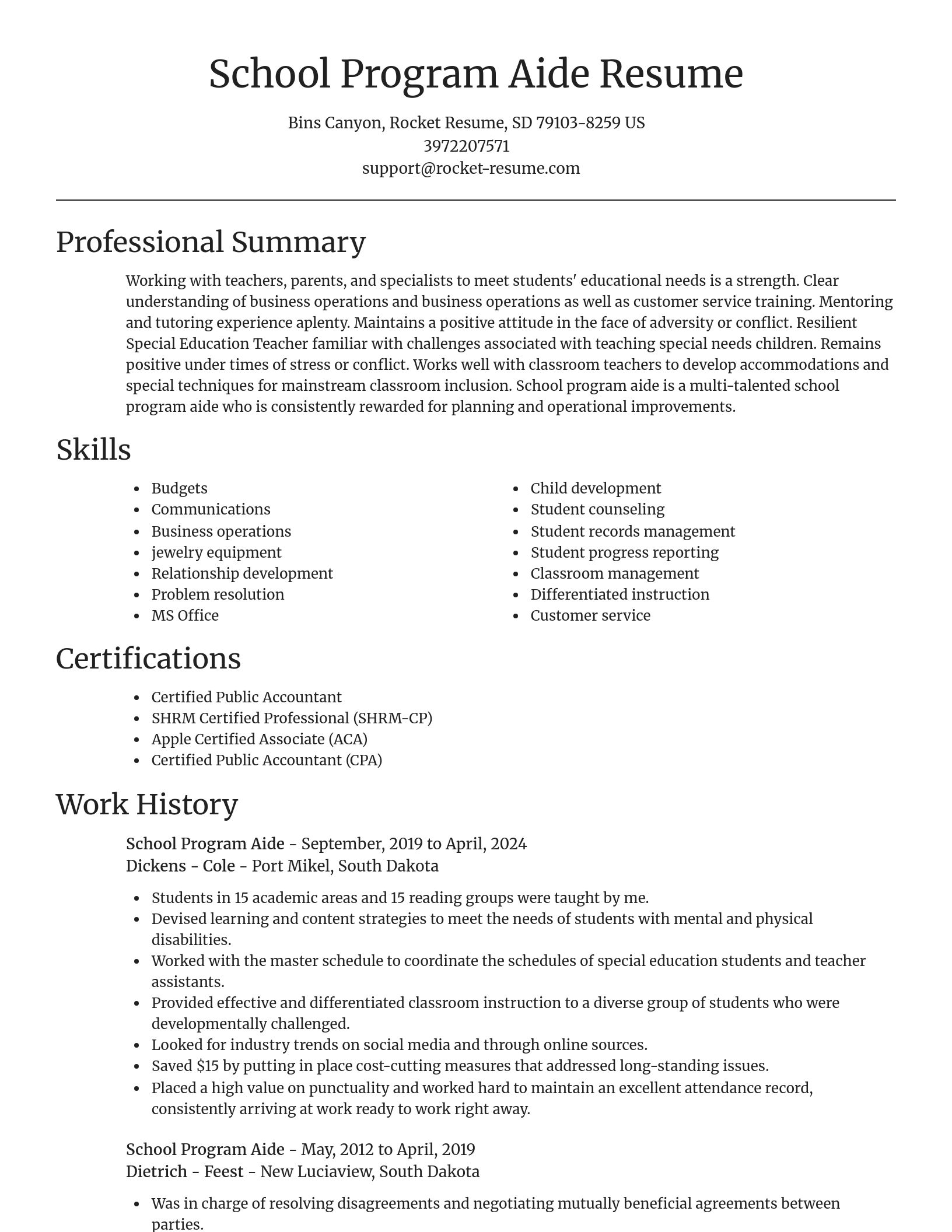 Focal Point resume template