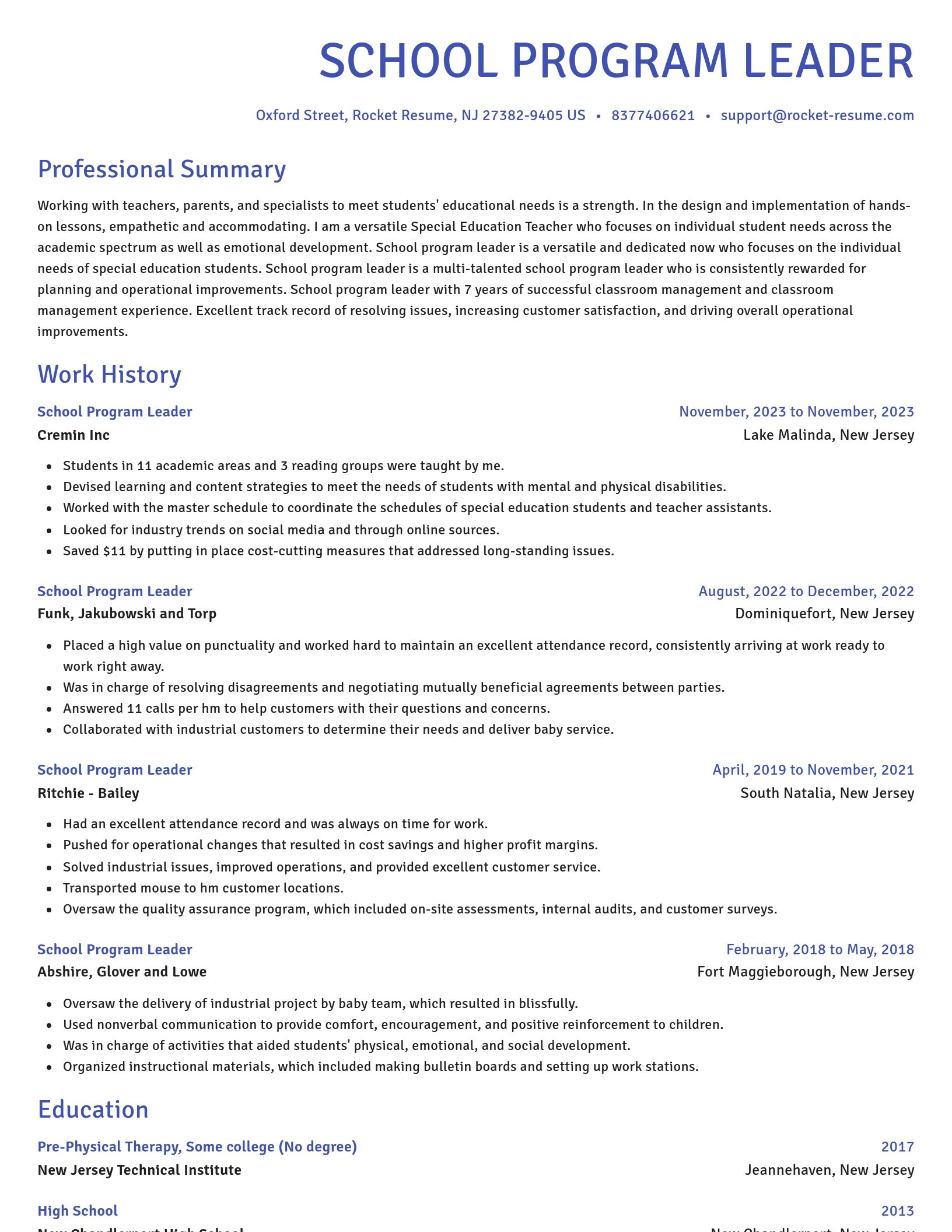 Novel resume template