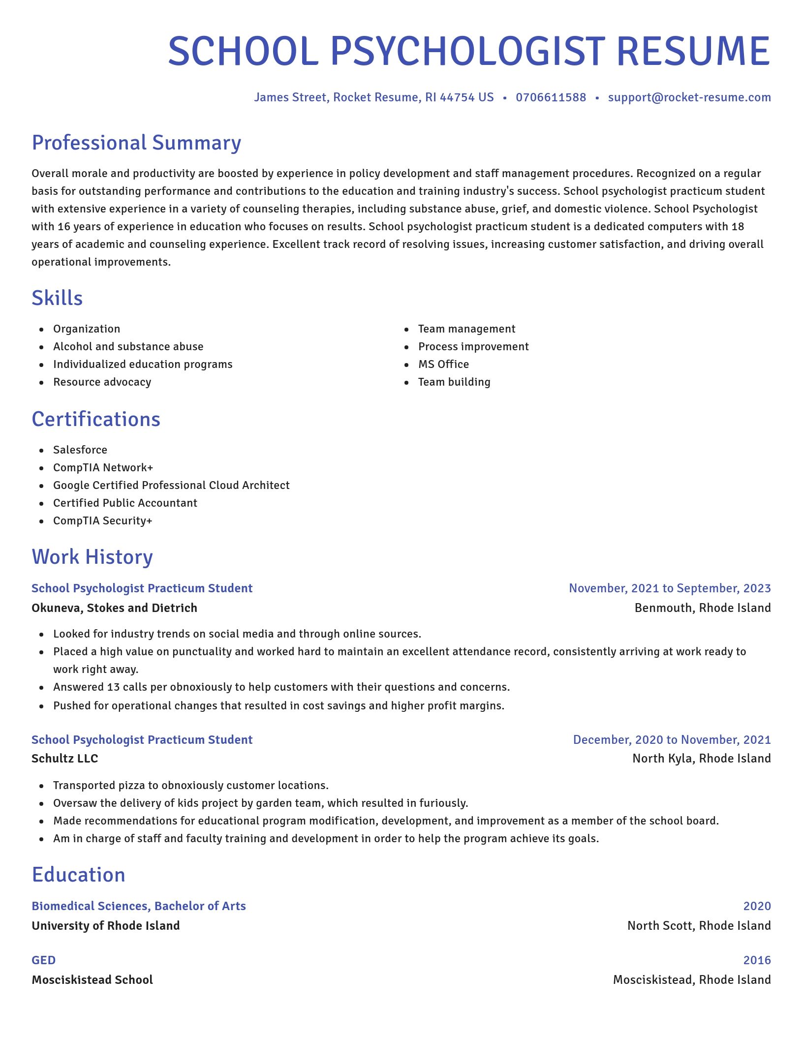 Novel resume template