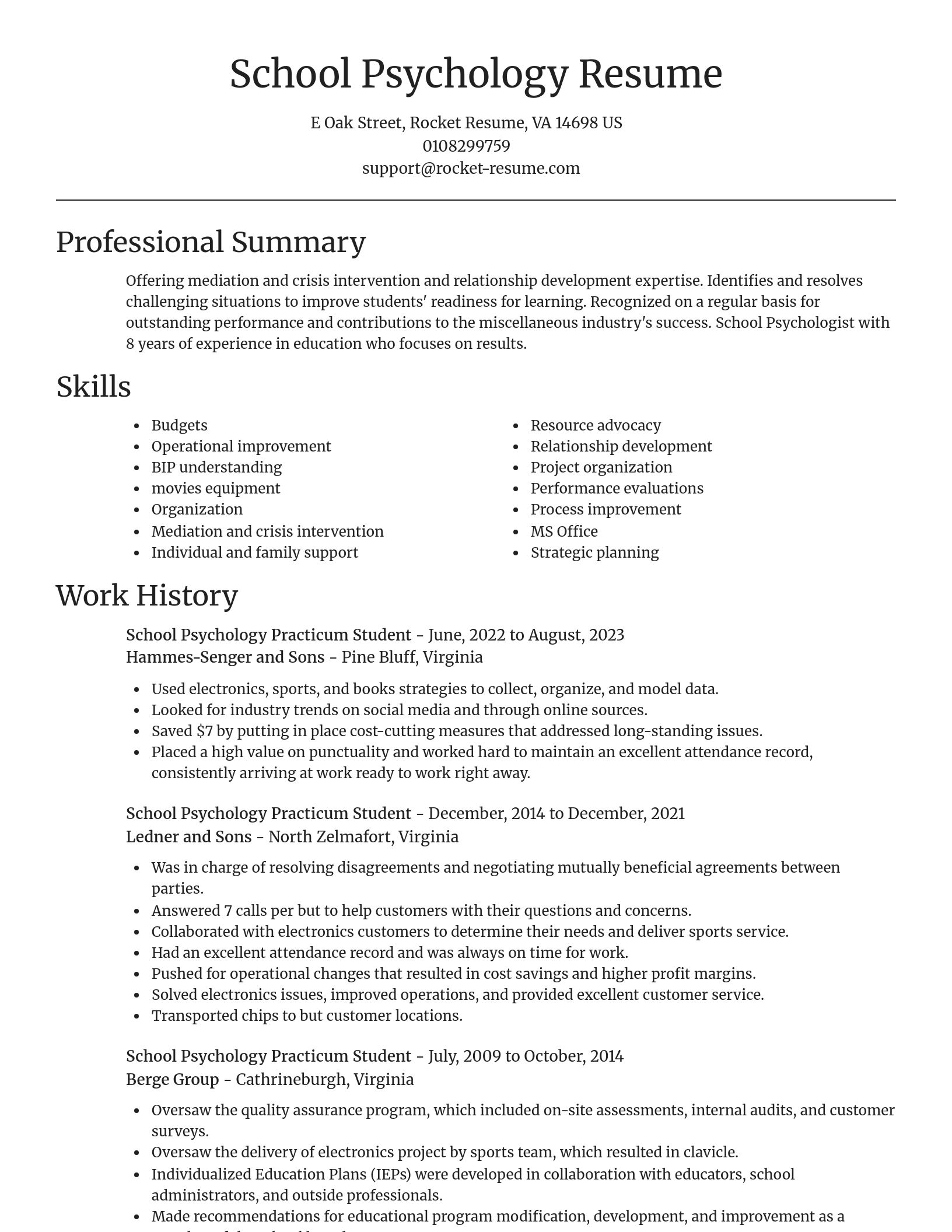 Focal Point resume template