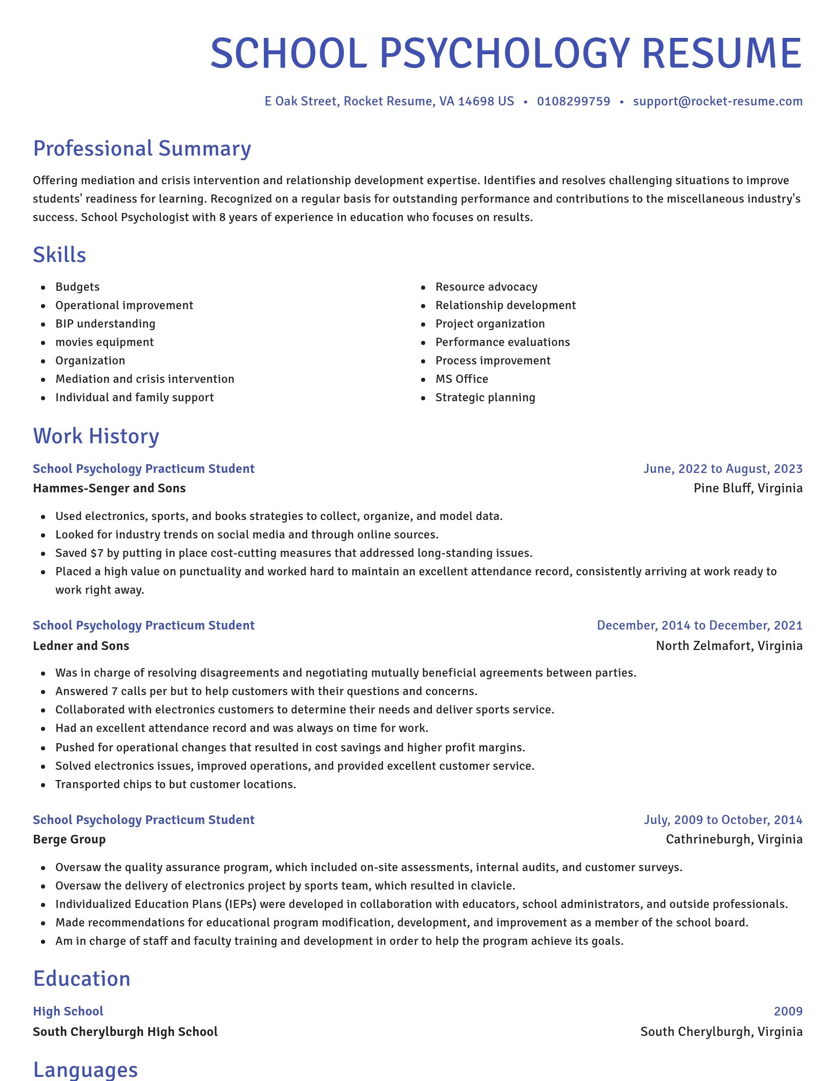 Novel resume template