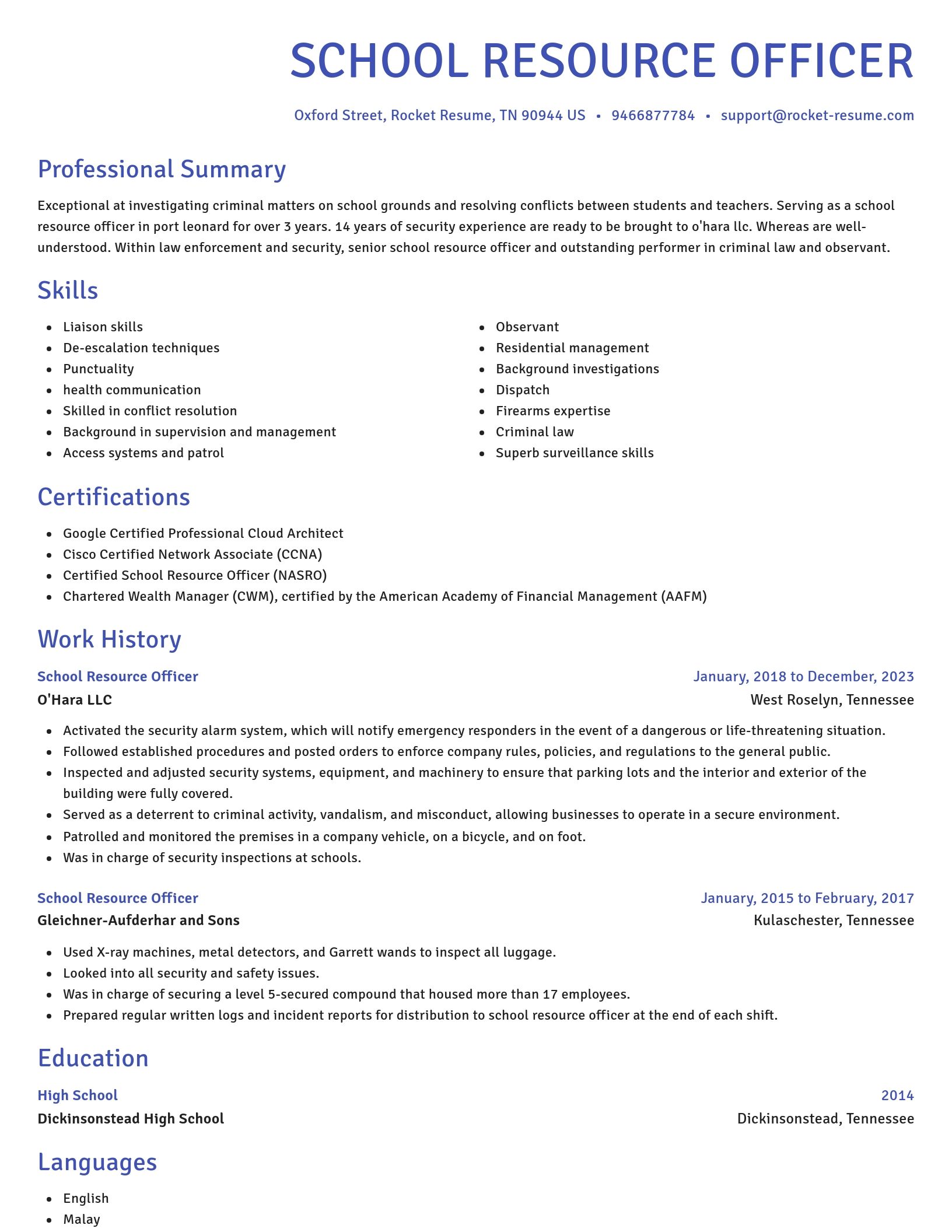 Novel resume template