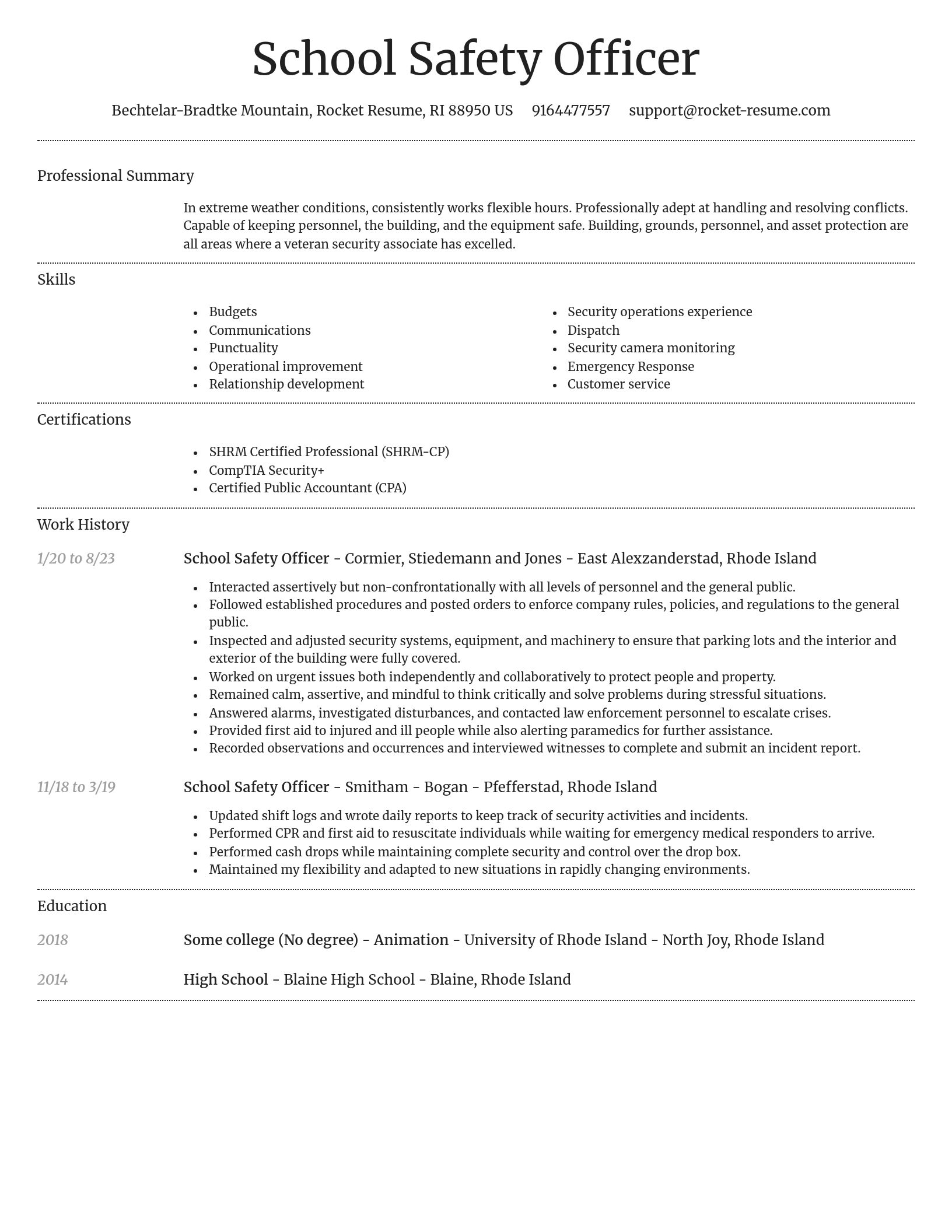 Dignified resume template