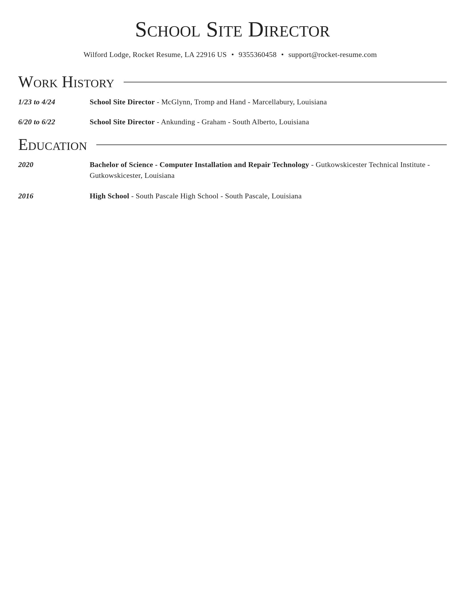 Director resume template