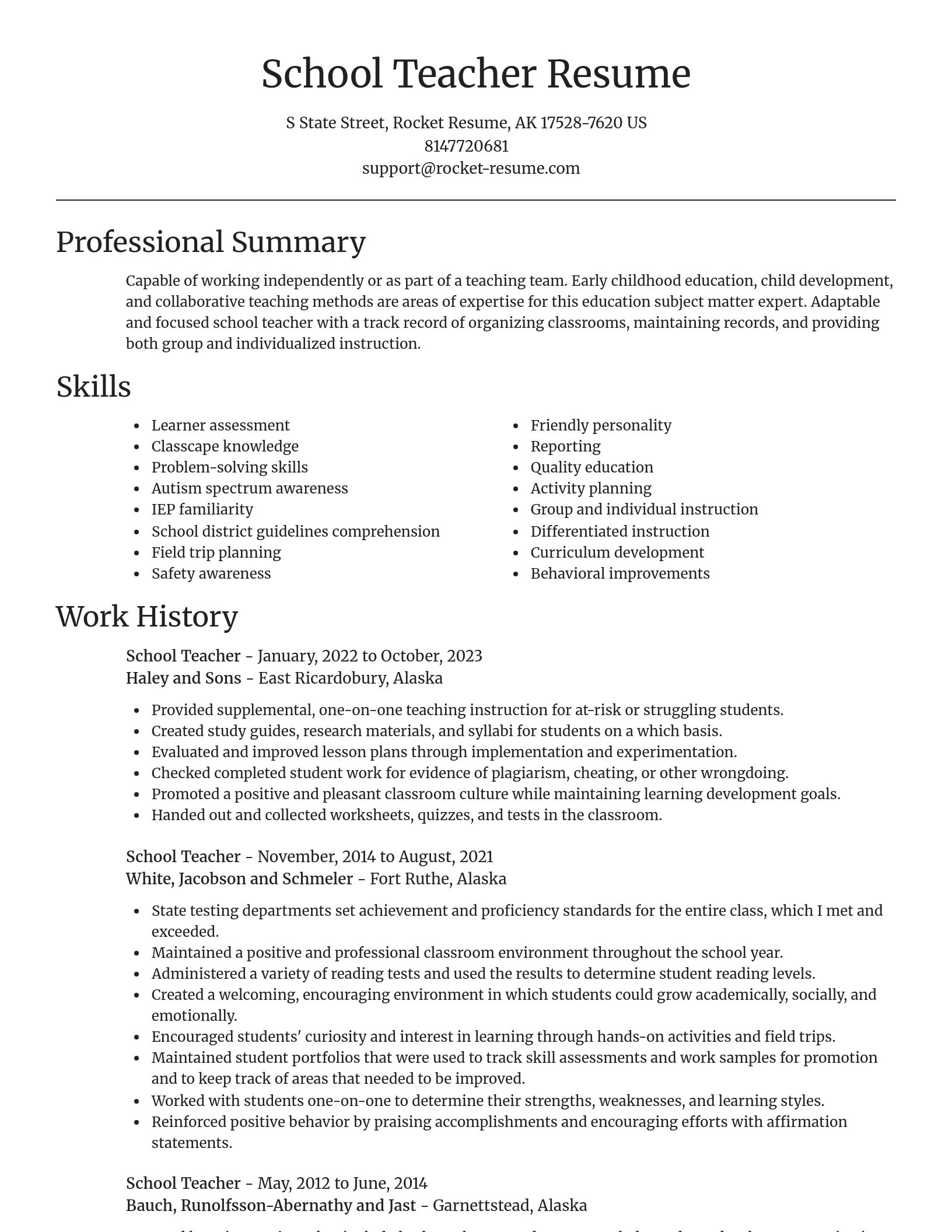 Focal Point resume template