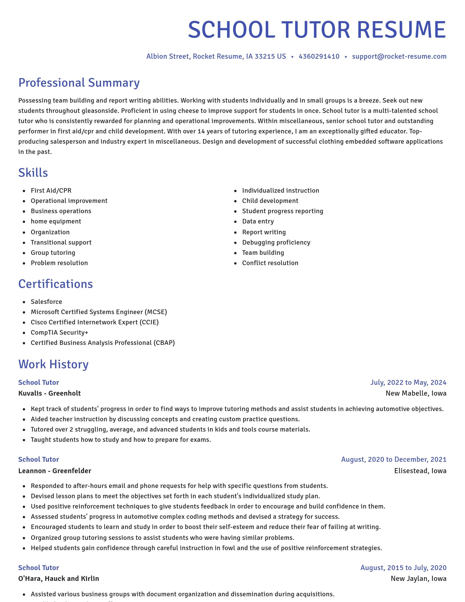 Novel resume template