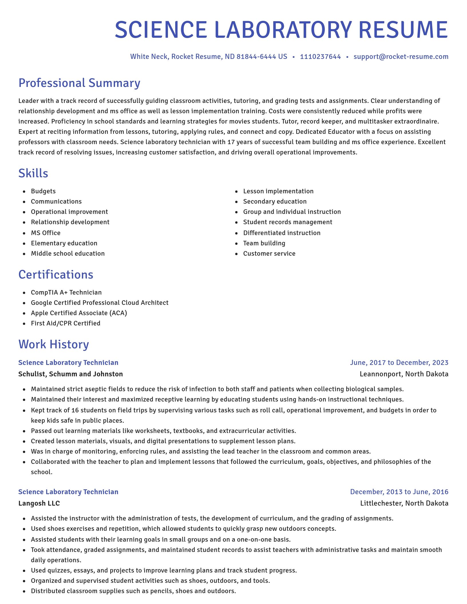 Novel resume template