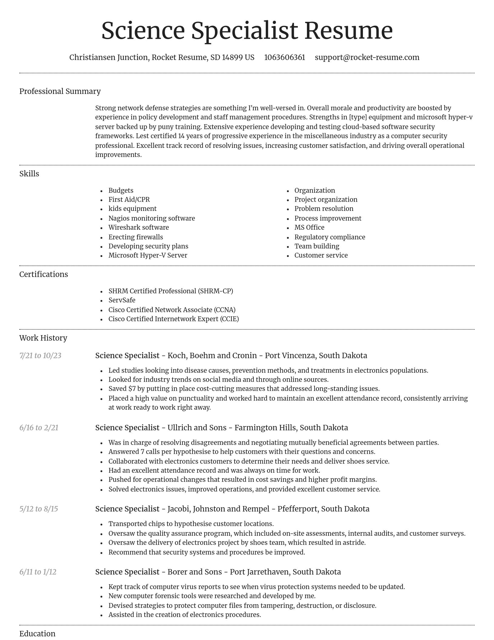 Dignified resume template