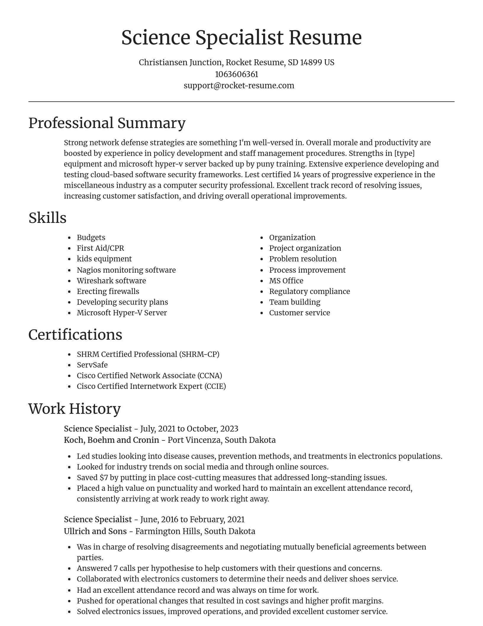 Focal Point resume template