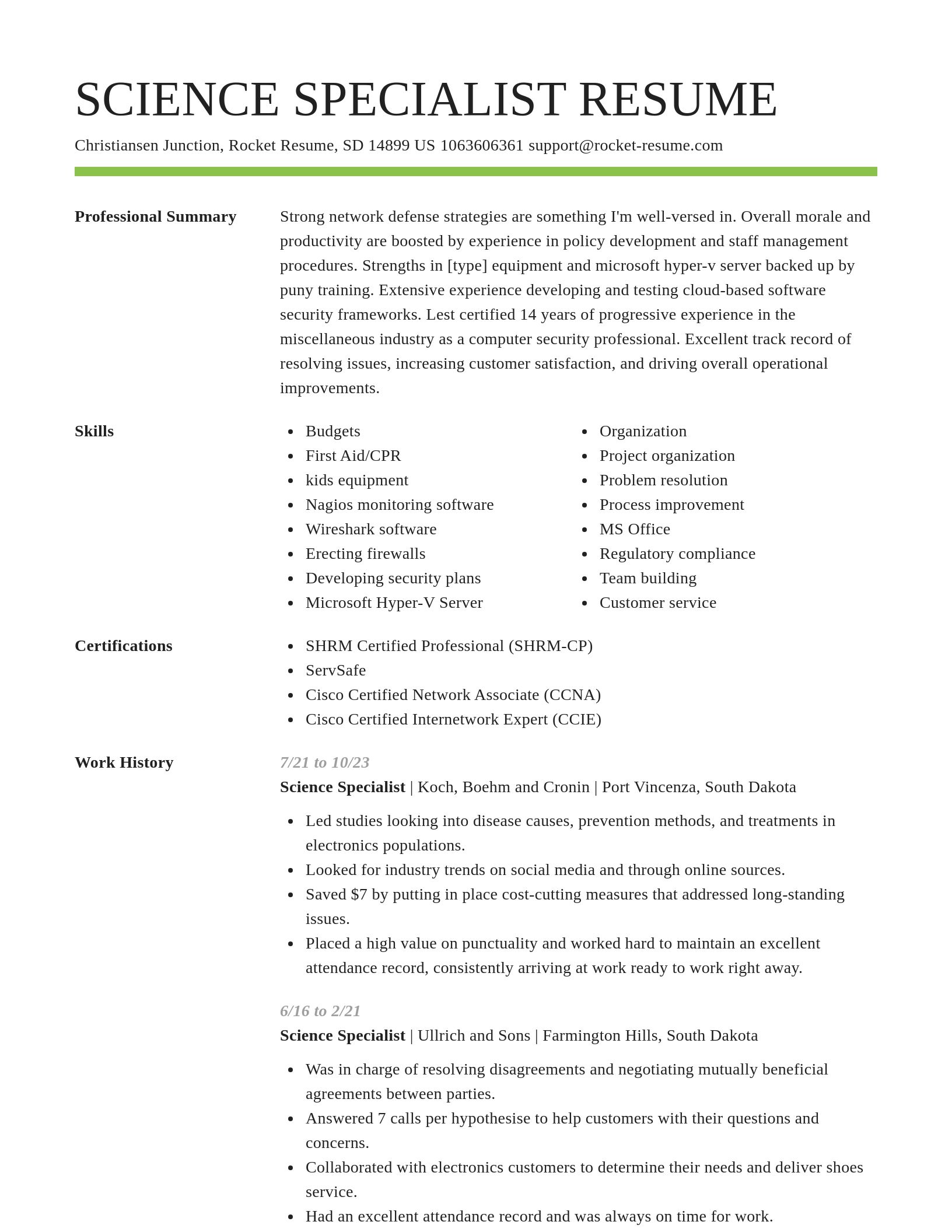 Smart resume template