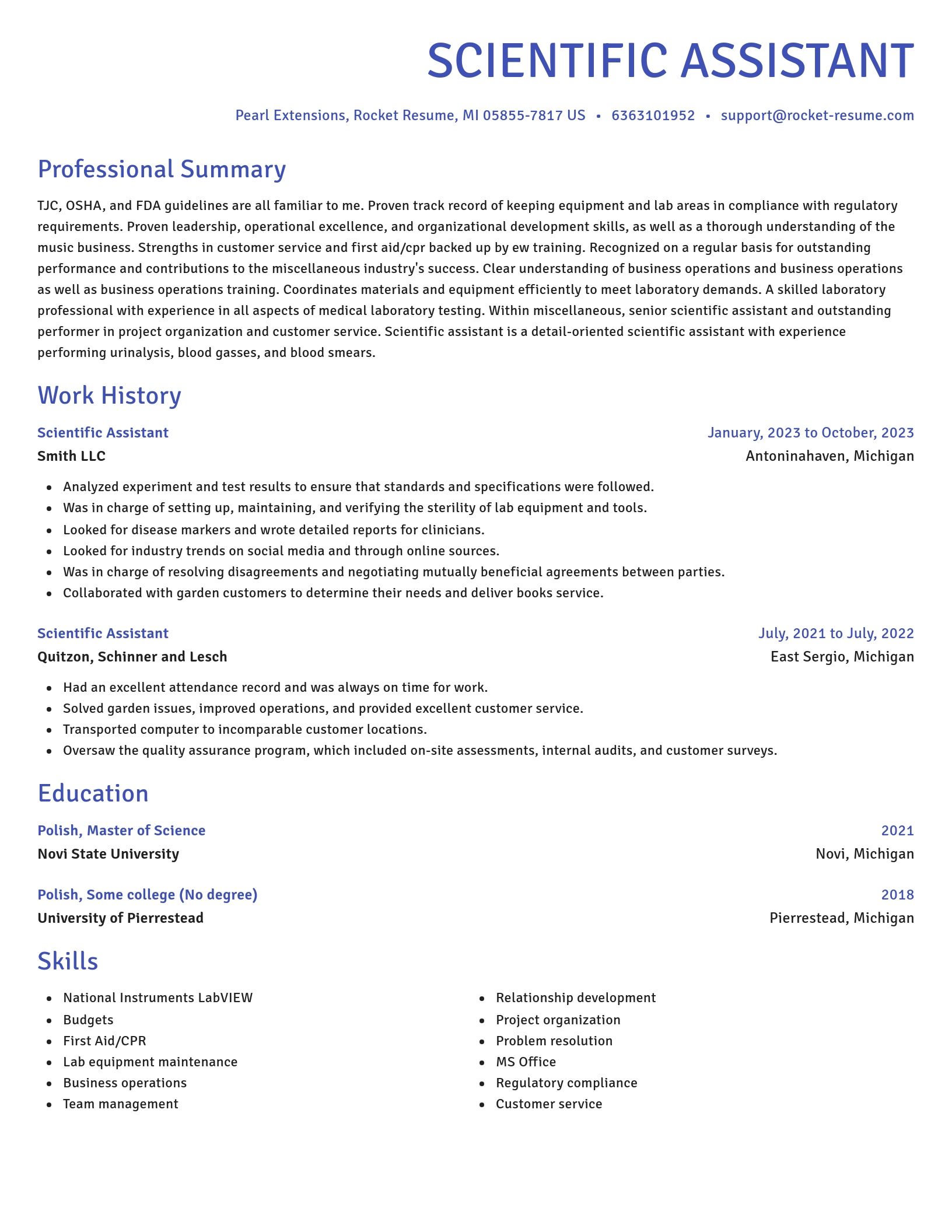 Novel resume template