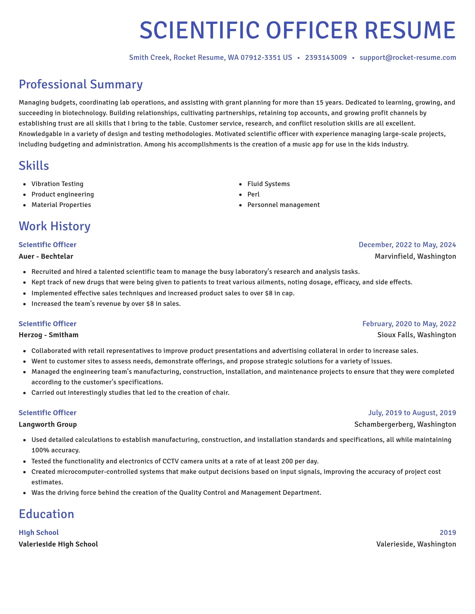 Novel resume template