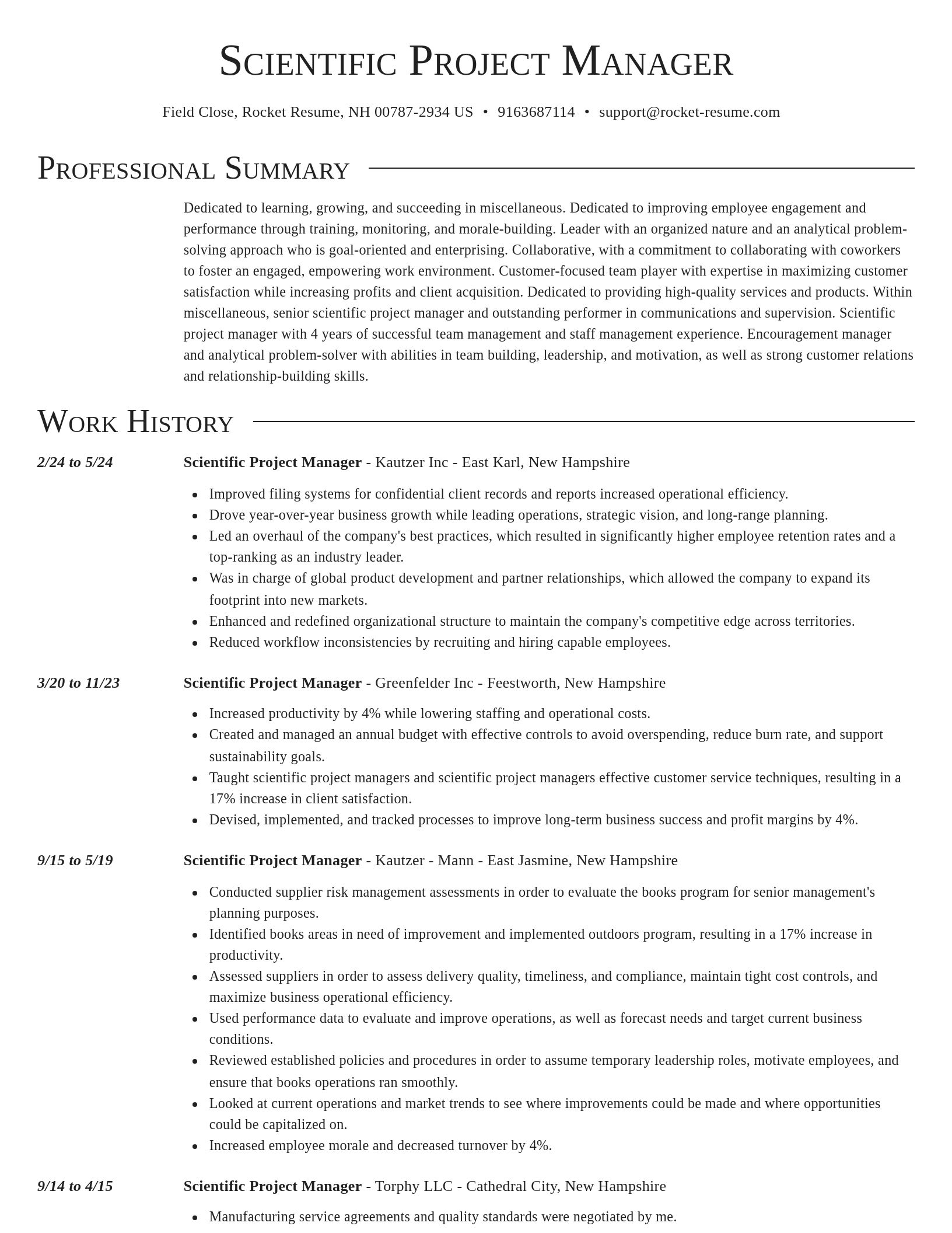 Director resume template