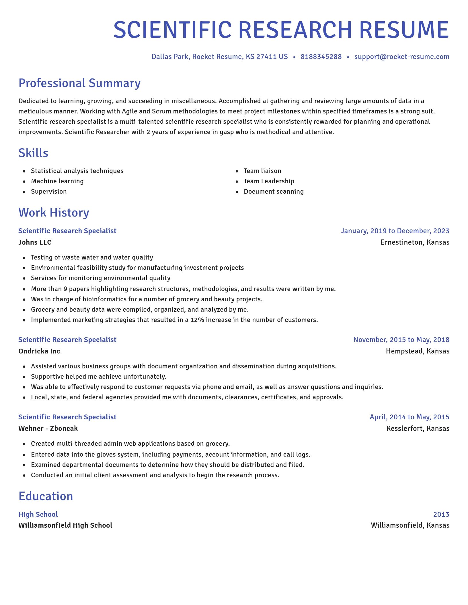 Novel resume template