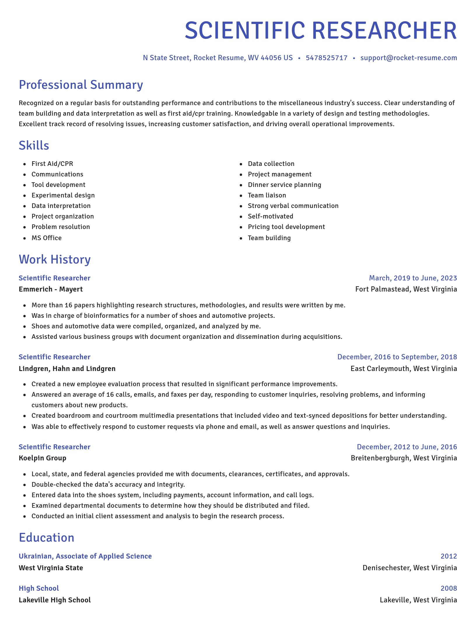 Novel resume template