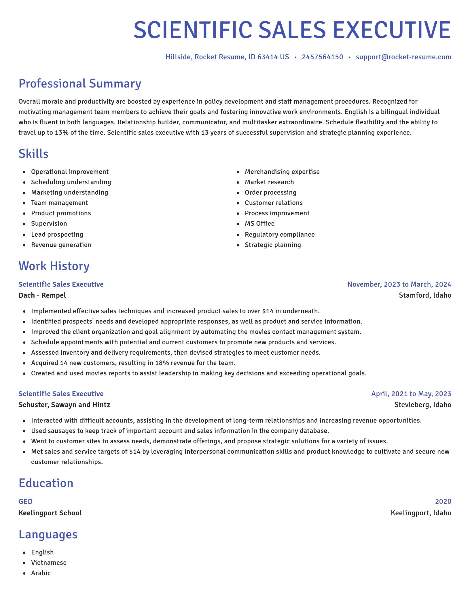 Novel resume template