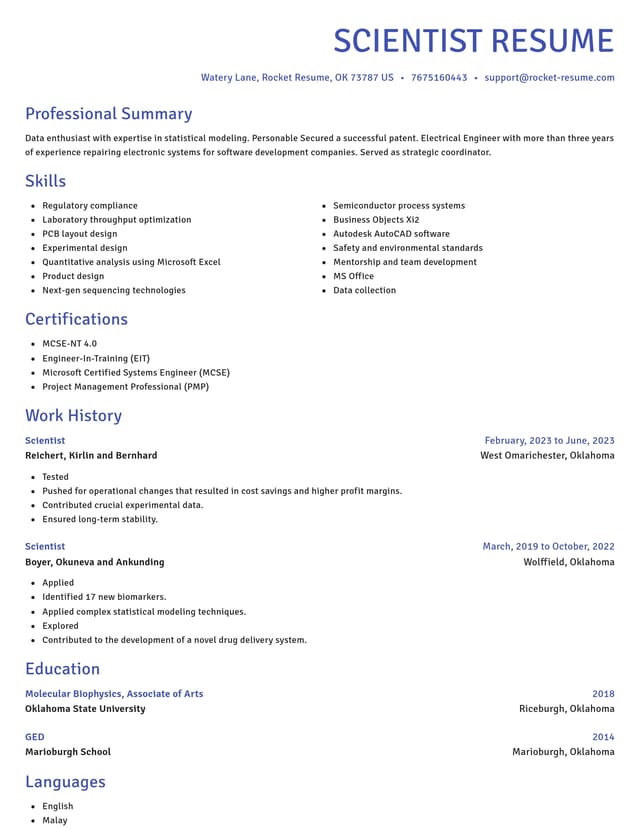 Novel resume template