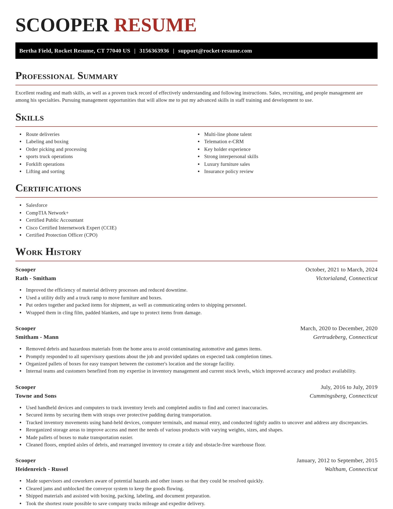 Exquisite resume template