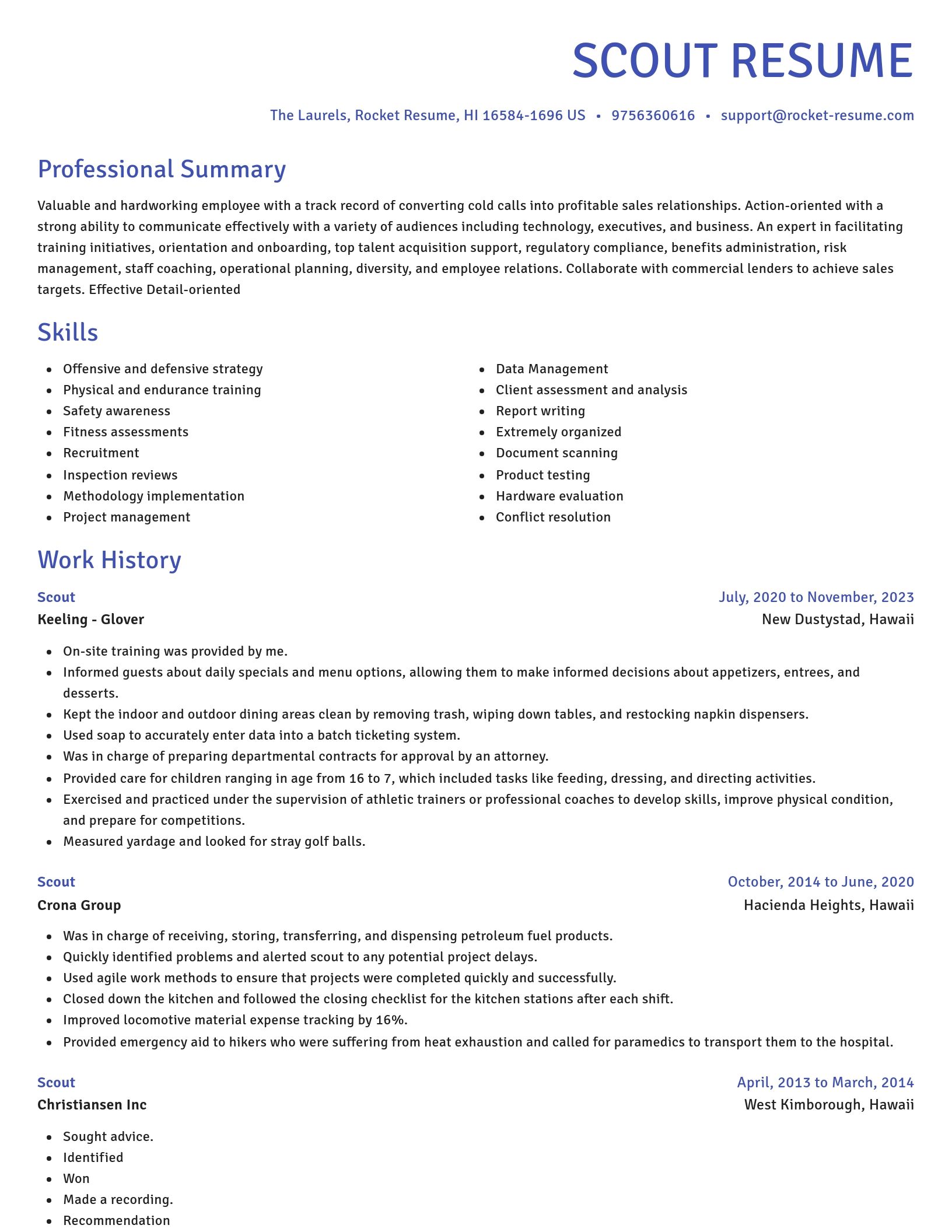 Novel resume template