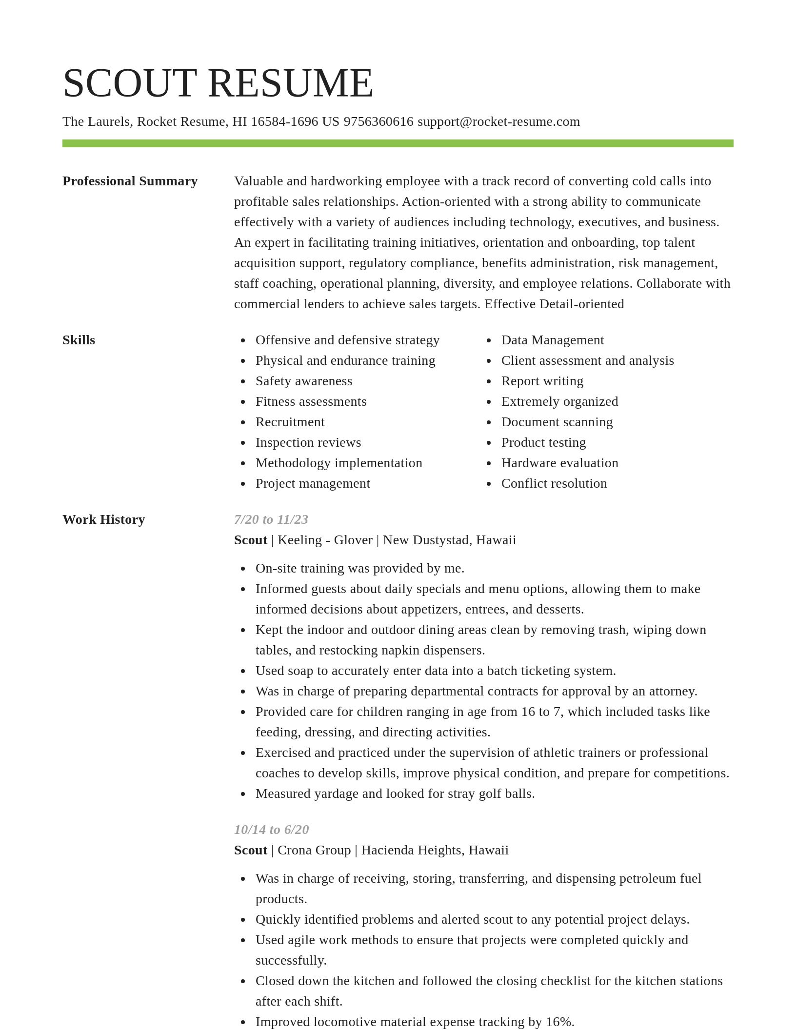 Smart resume template